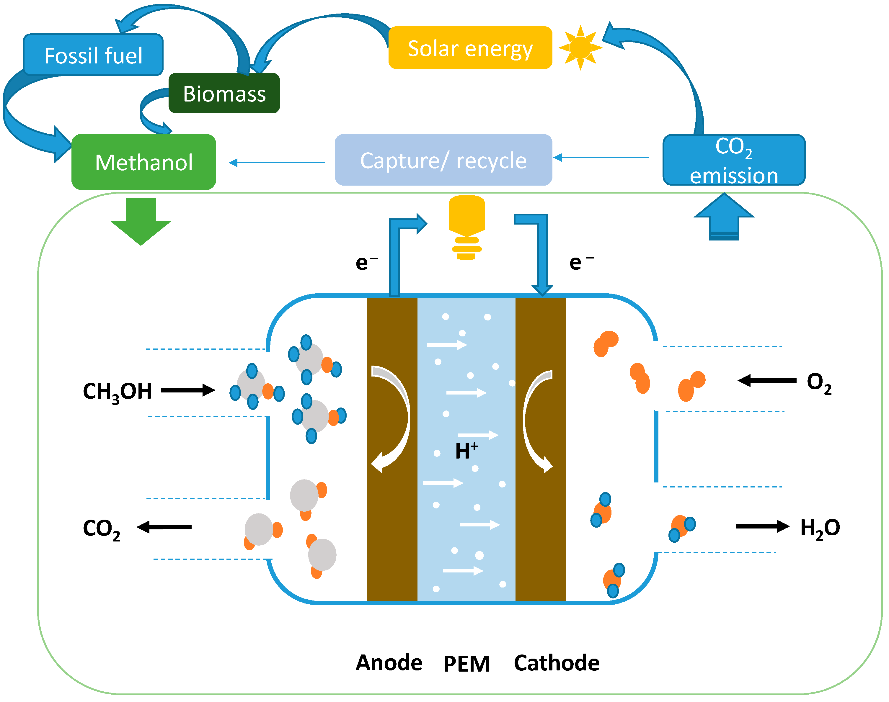 Silver-infused bacteria make fuel cells more efficient 