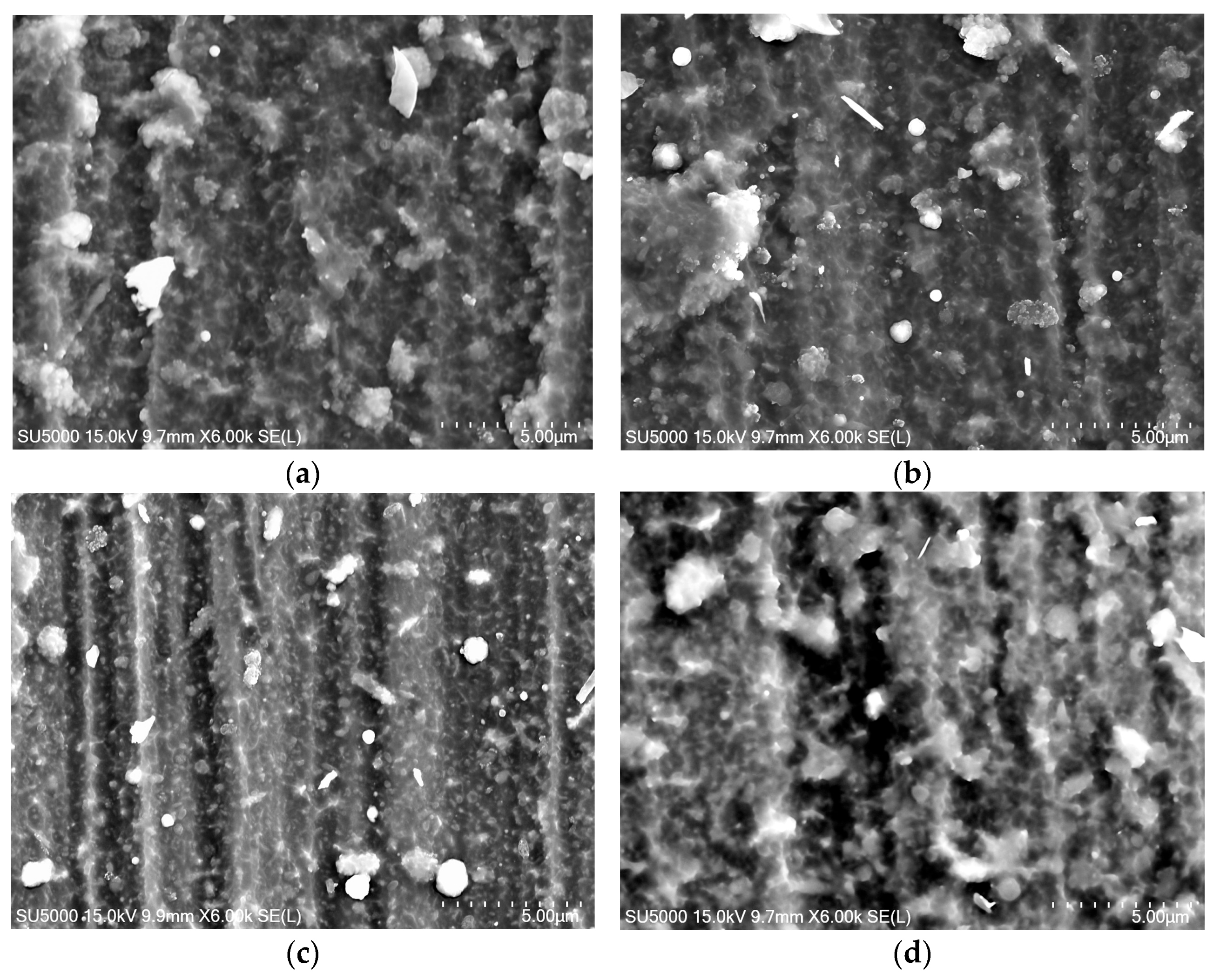 Coatings 13 01546 g003