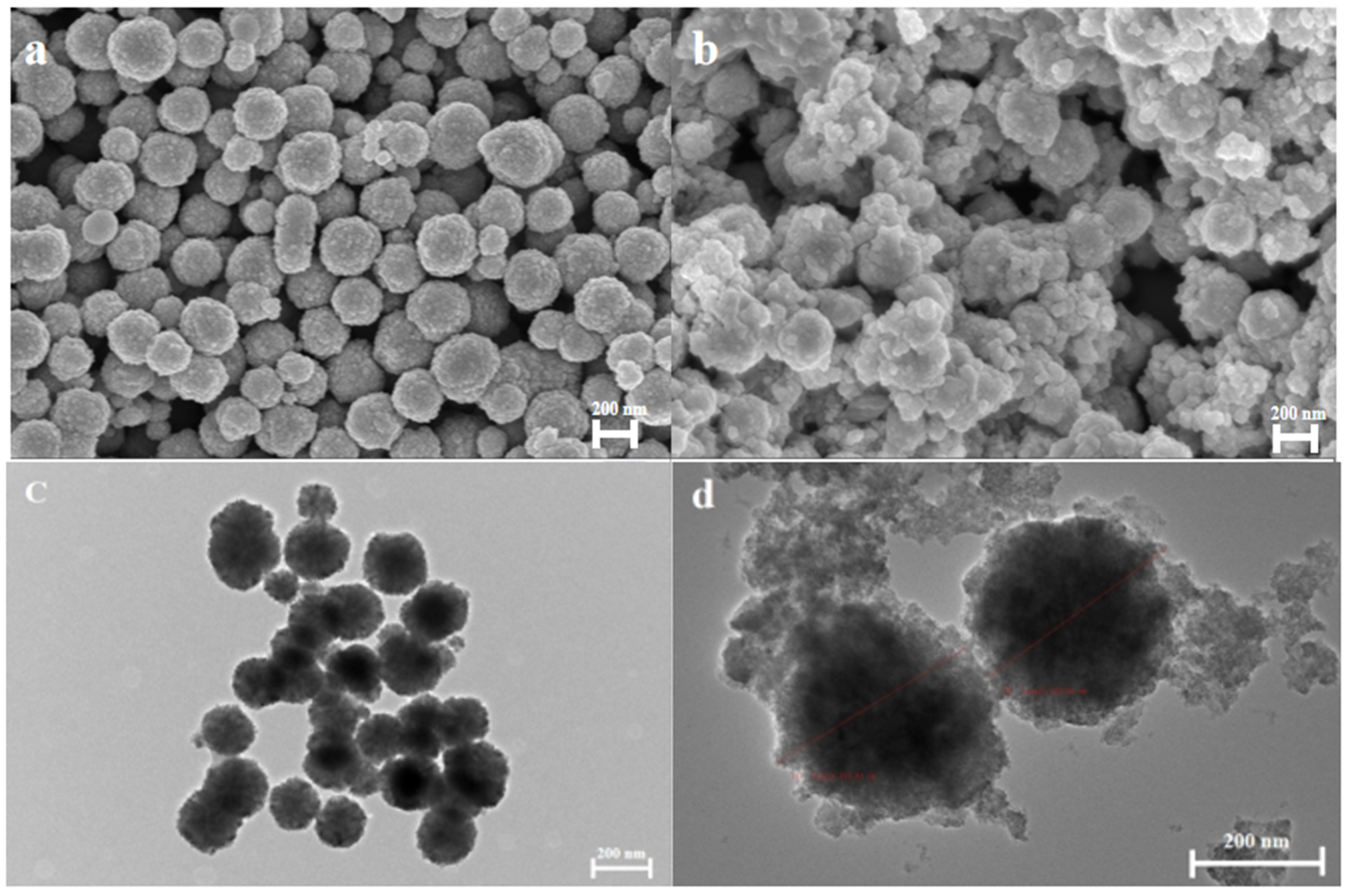Coatings 13 01557 g001