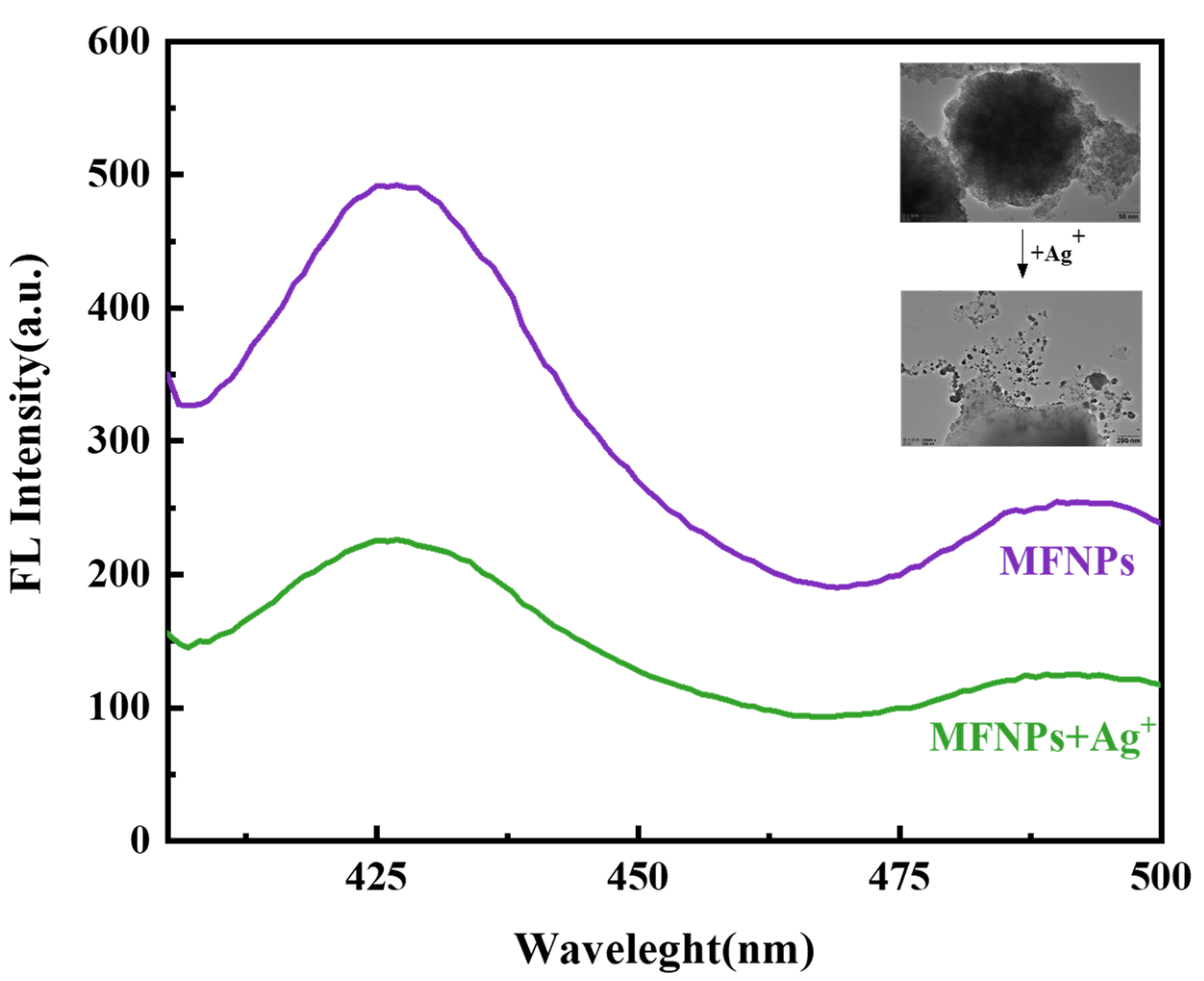 Coatings 13 01557 g007