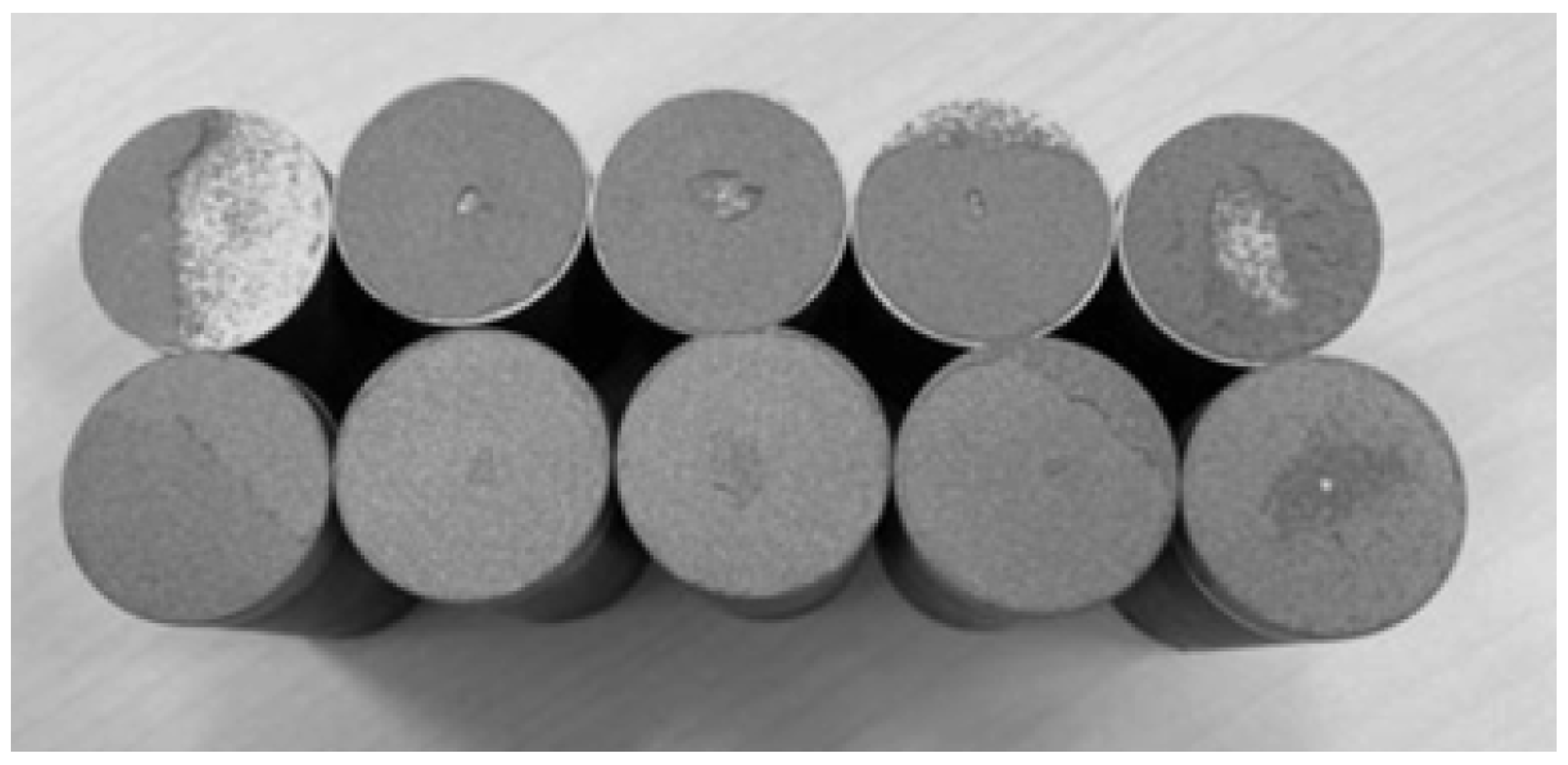 Coatings 13 01564 g017