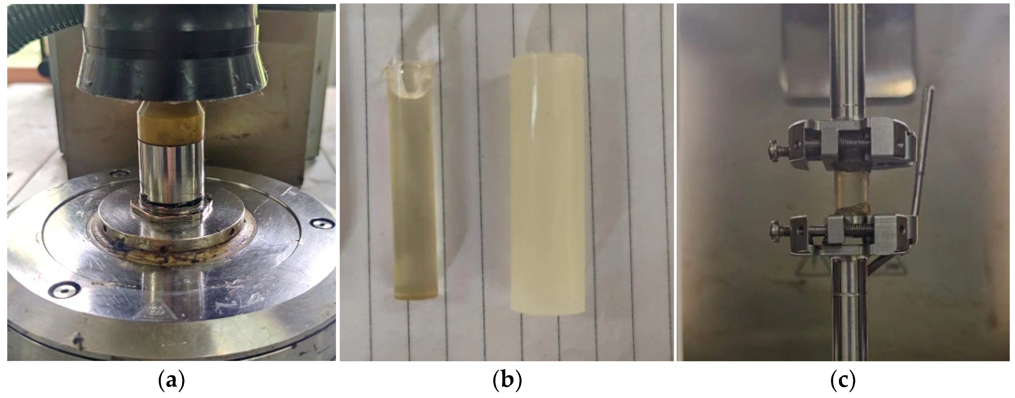 Coatings 13 01567 g003