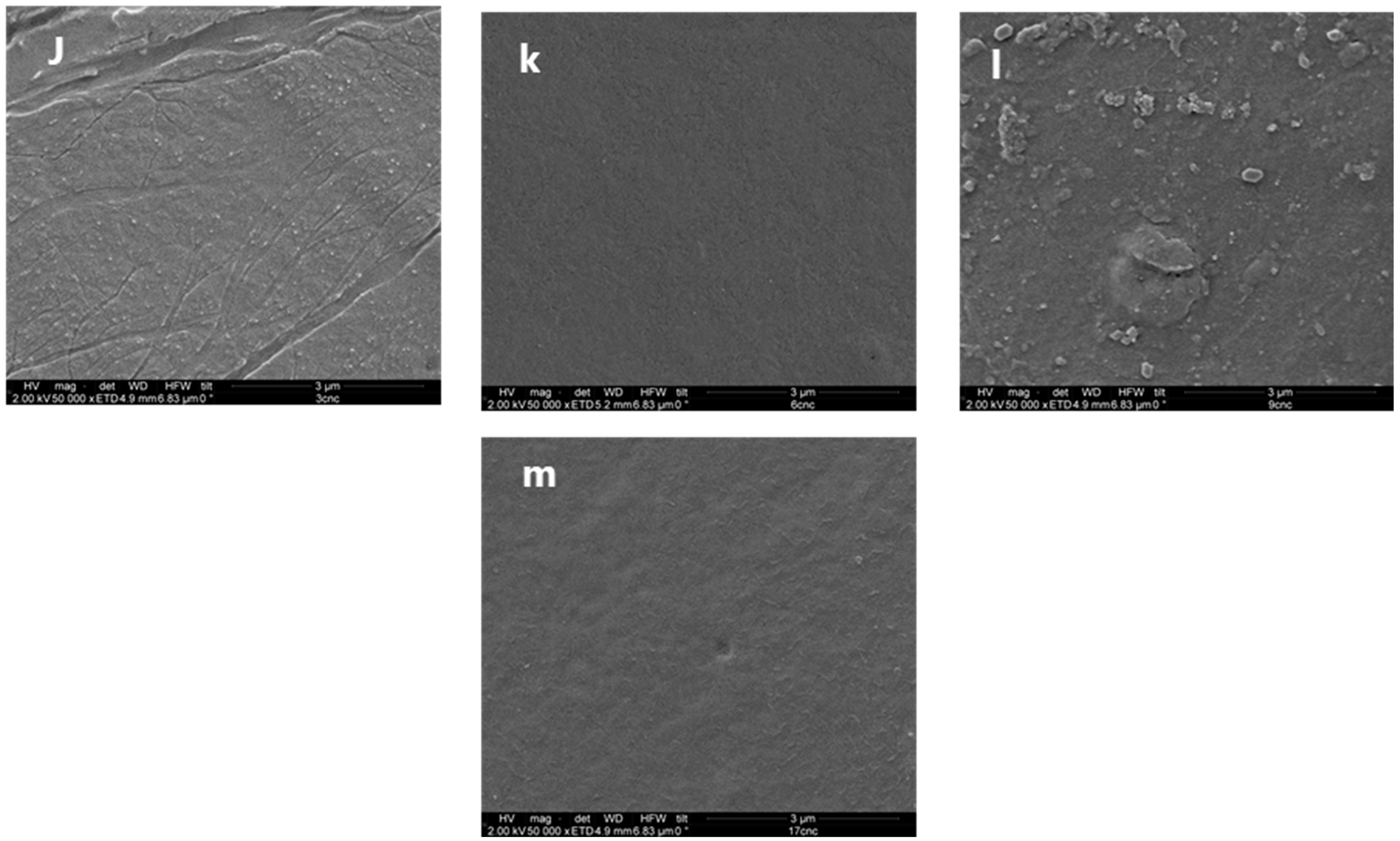Coatings 13 01573 g005b