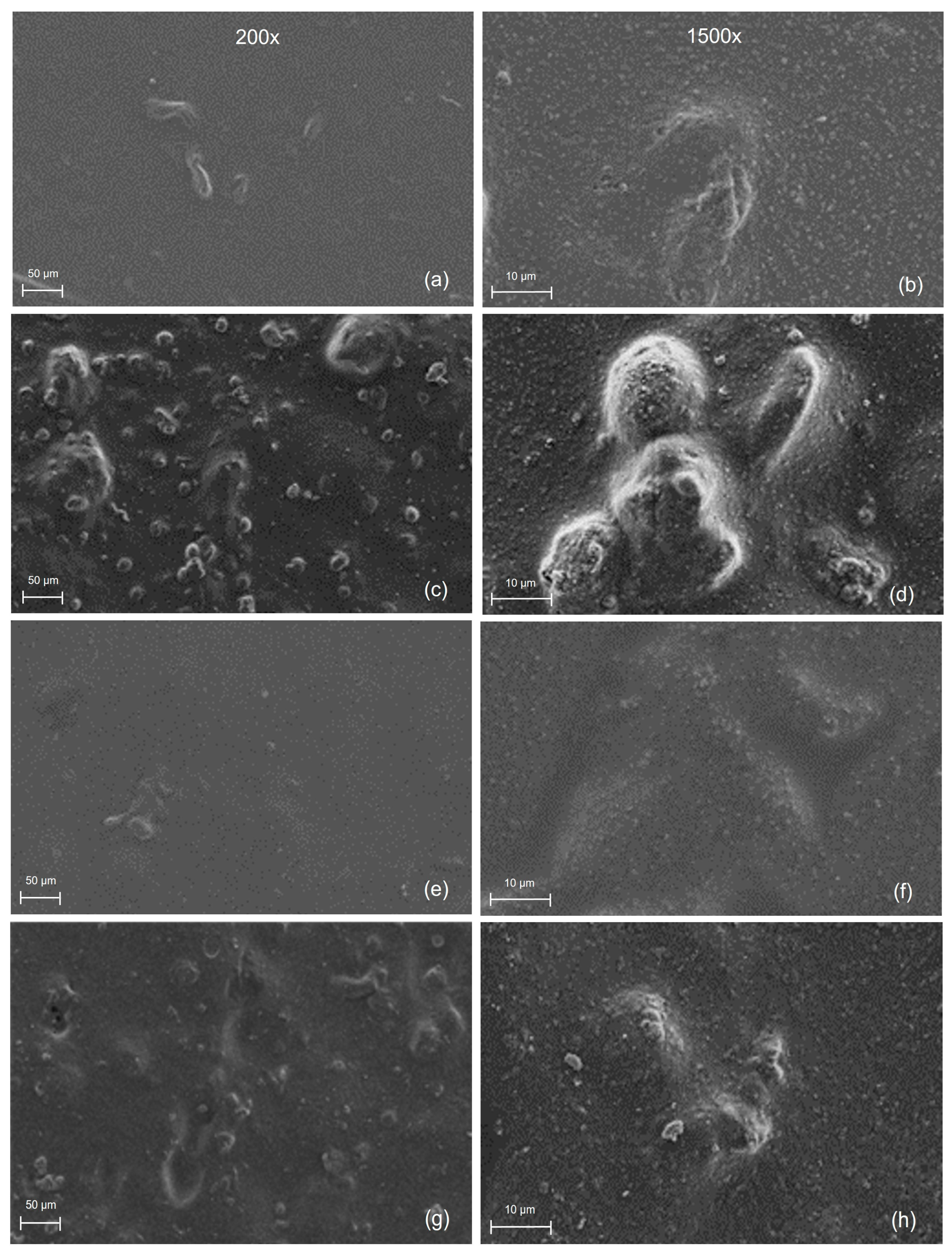 Coatings 13 01574 g007 Coatings 13 01574 g007