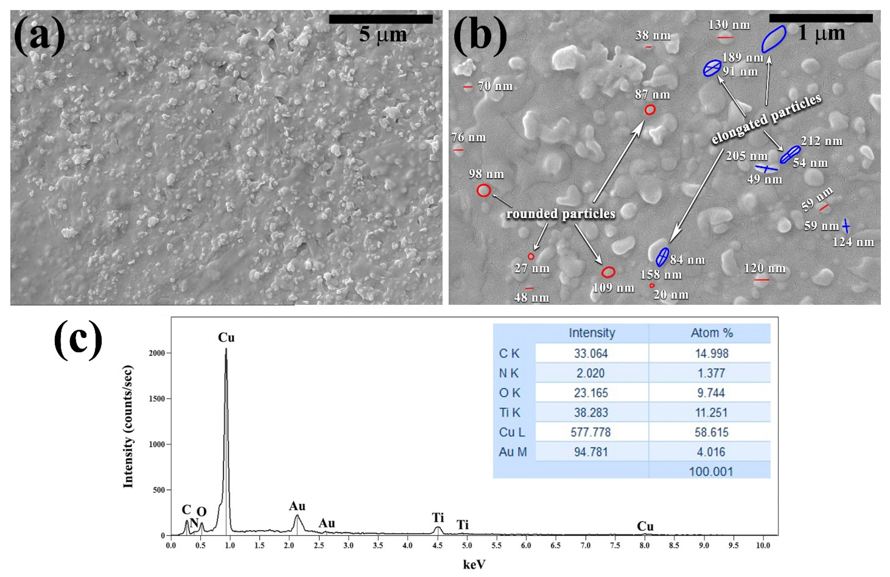 Coatings 13 01587 g001