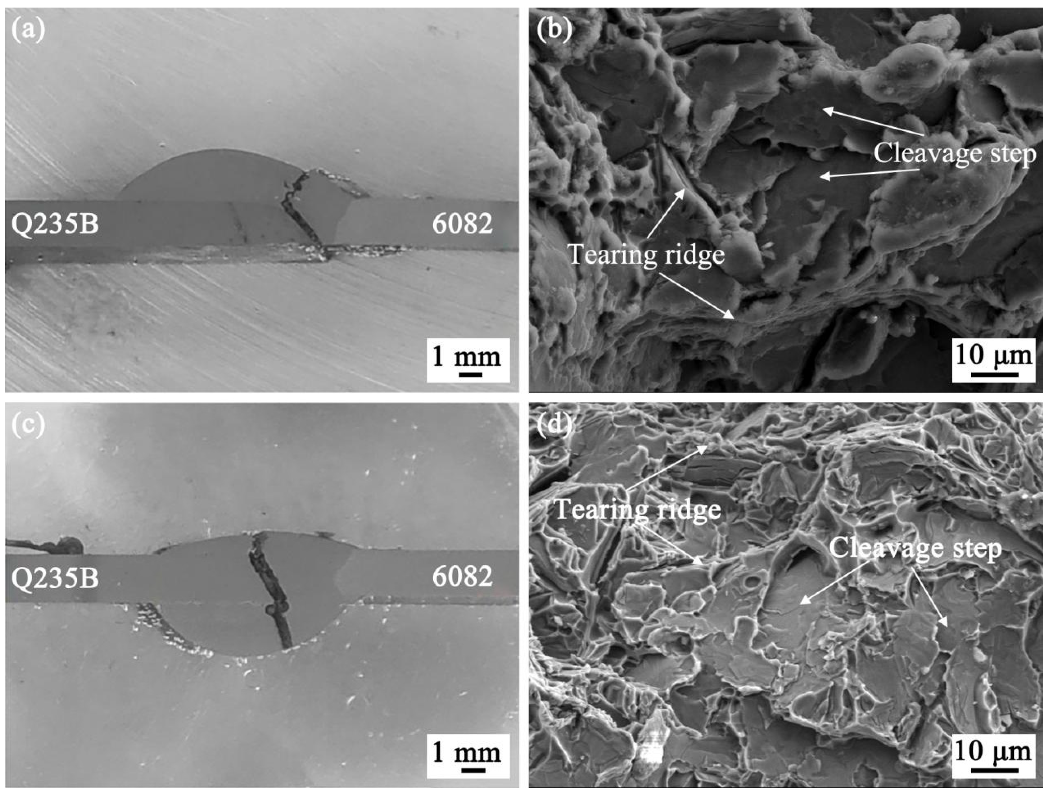 Coatings 13 01590 g010