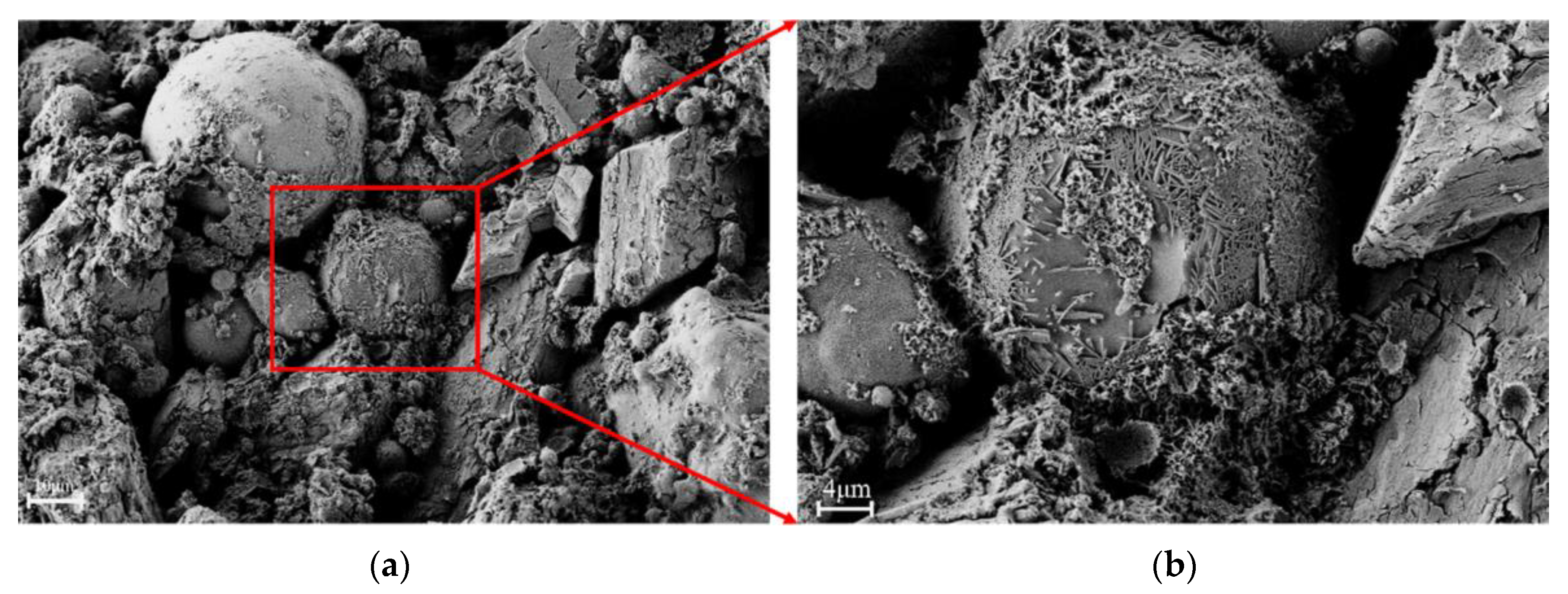 Coatings 13 01591 g014