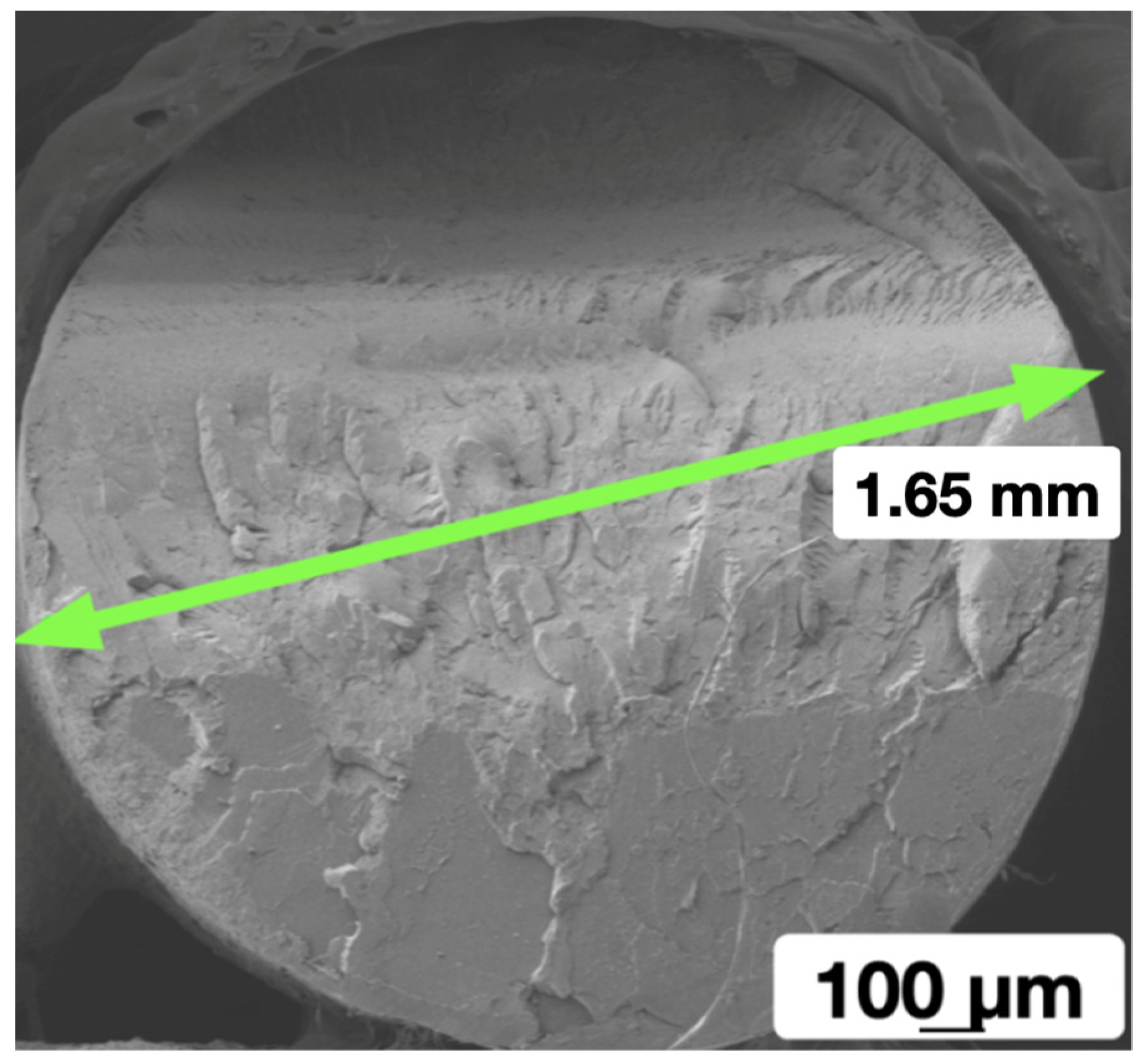 Coatings 13 01592 g005