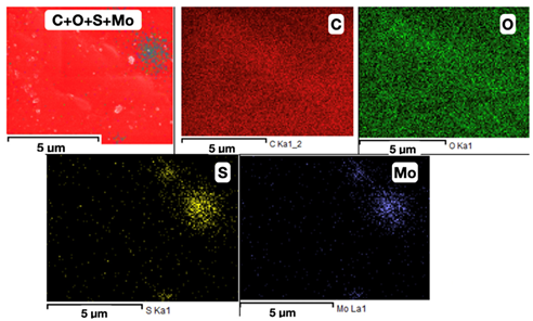 Coatings 13 01592 i002