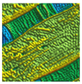 Coatings 13 01592 i010