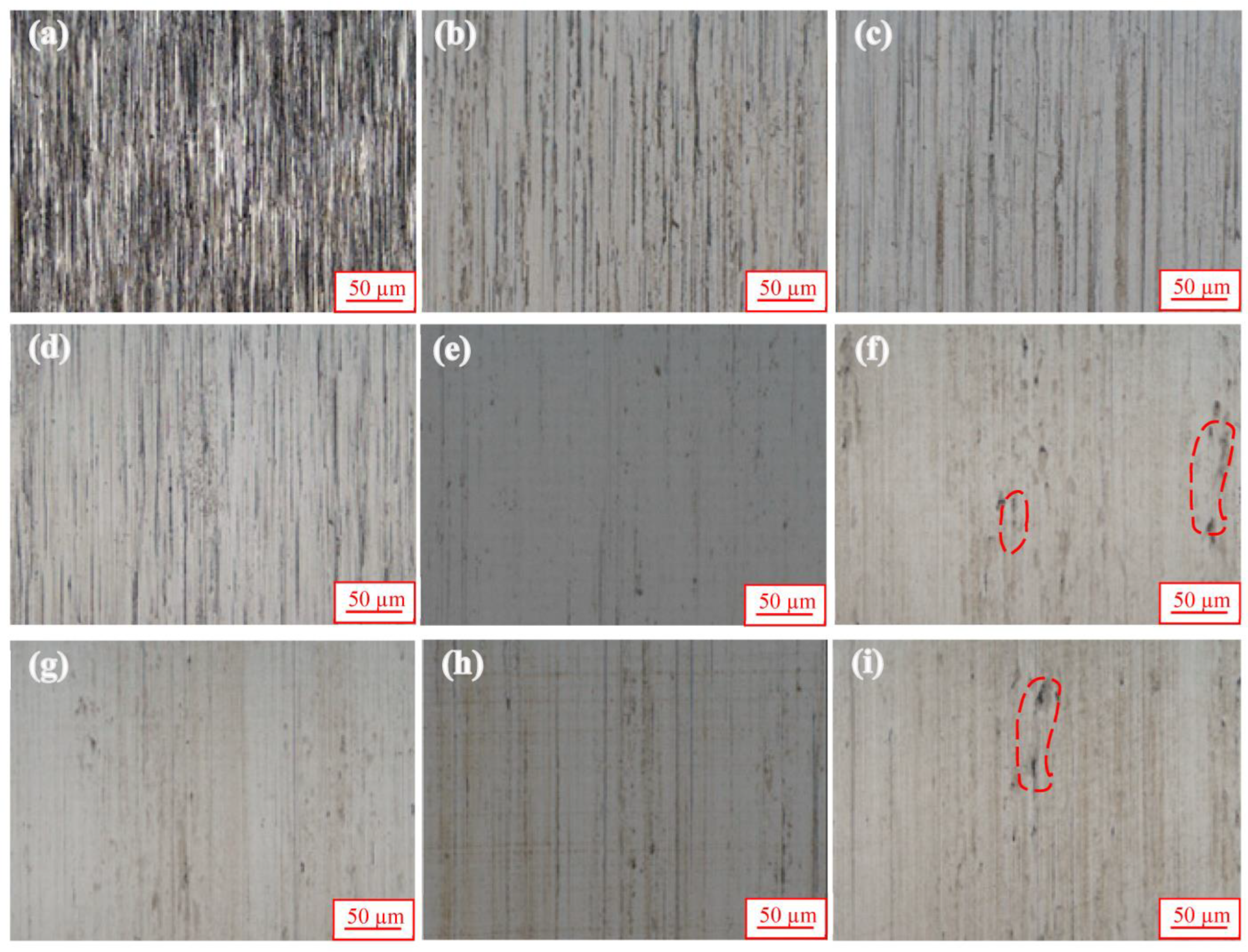 Coatings 13 01594 g009