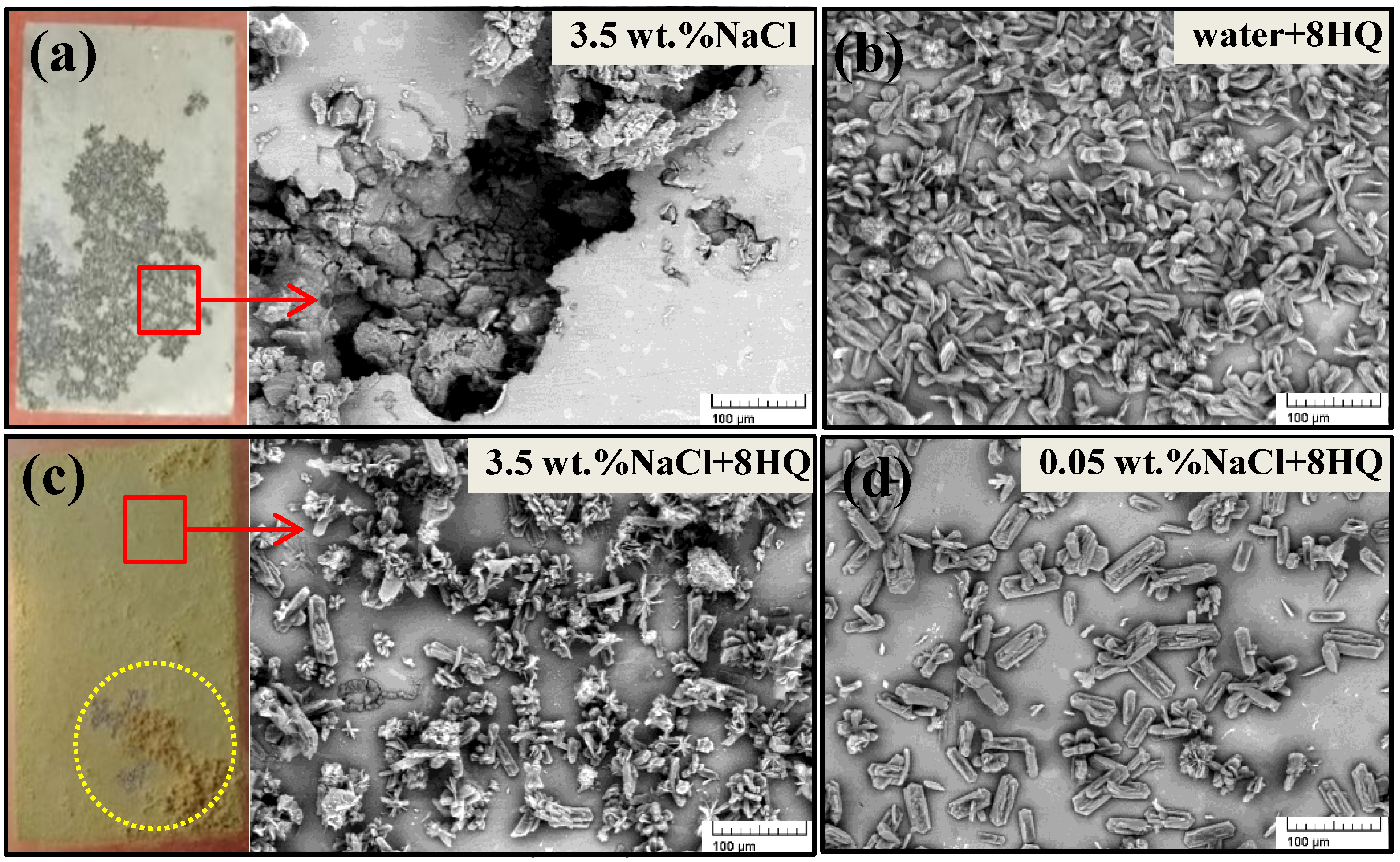 Coatings 13 01595 g006