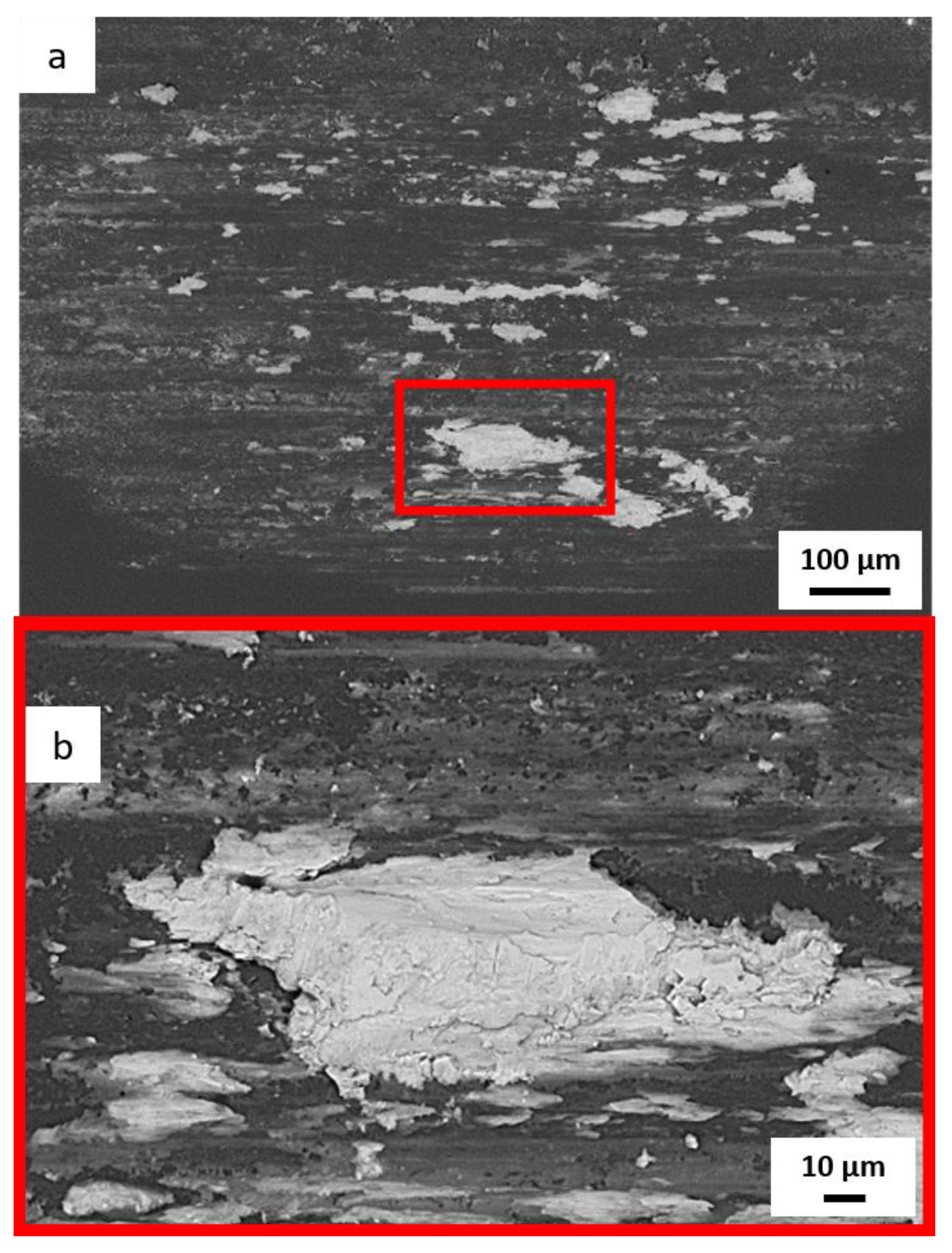 Coatings 13 01603 g013