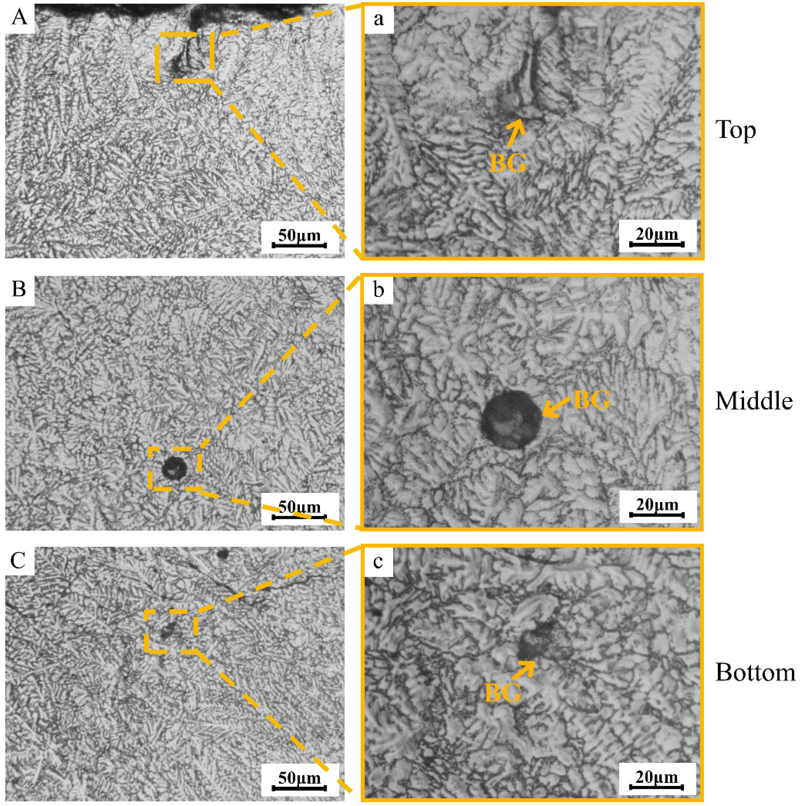Coatings 13 01621 g004