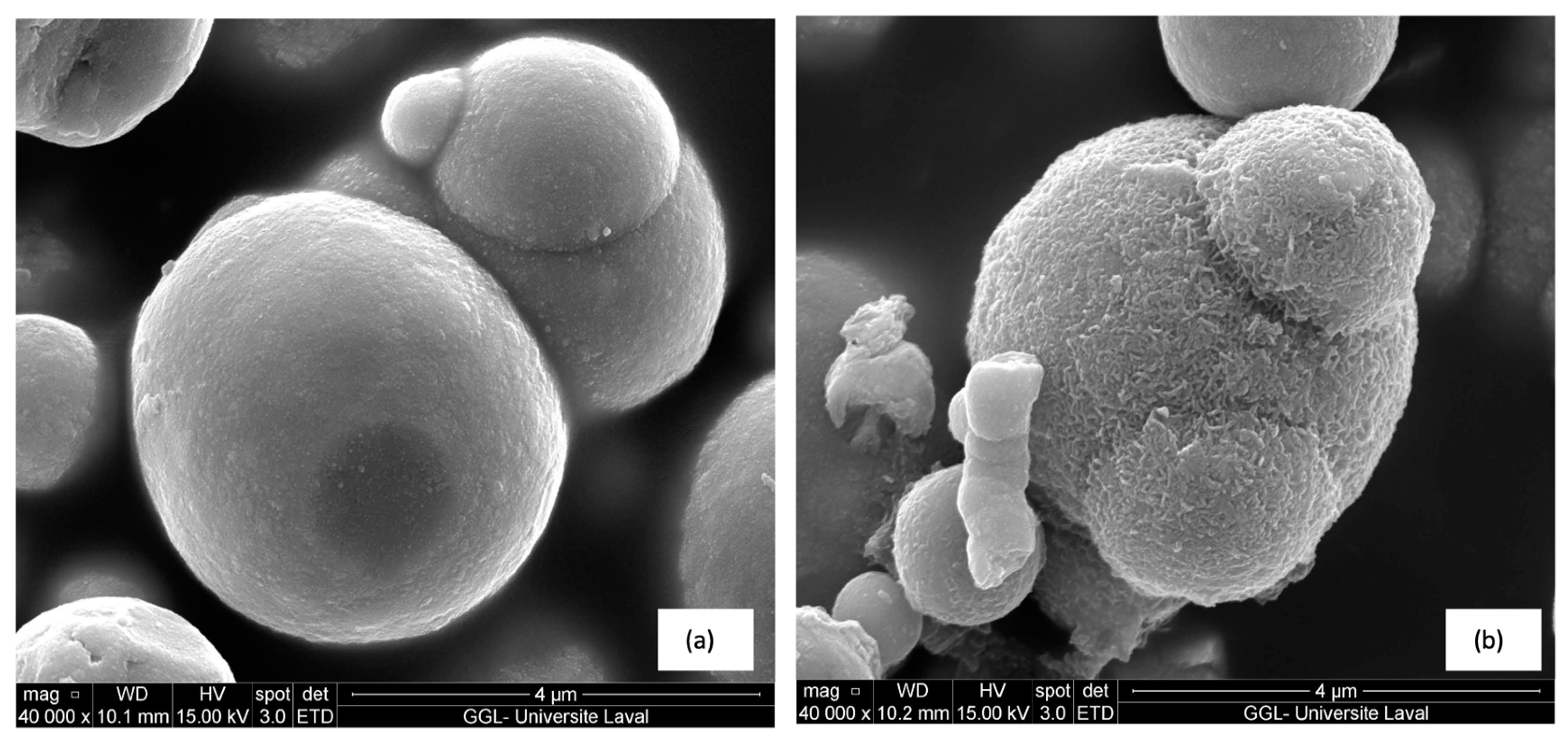 Coatings 13 01625 g005