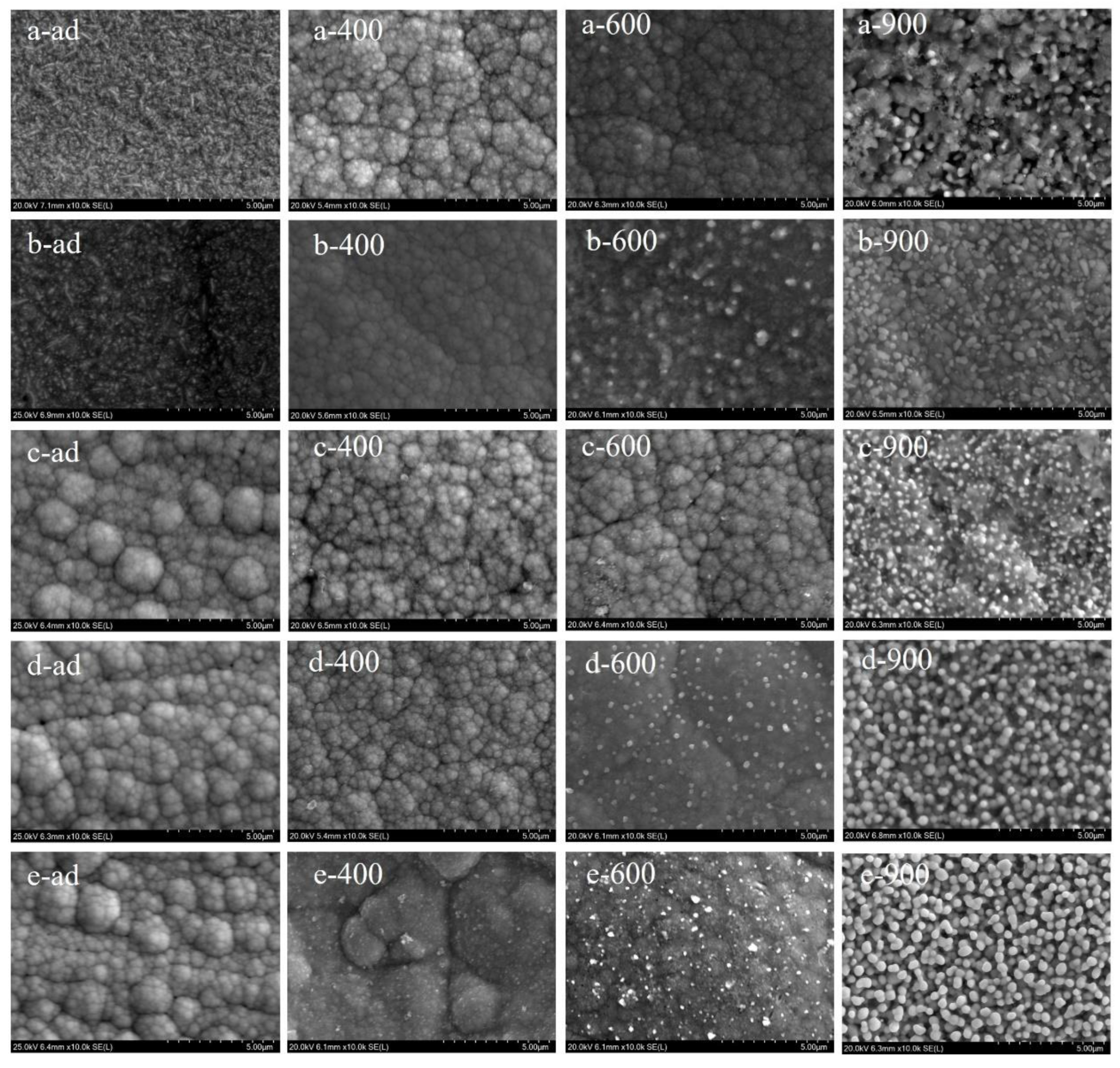 Coatings 13 01651 g001