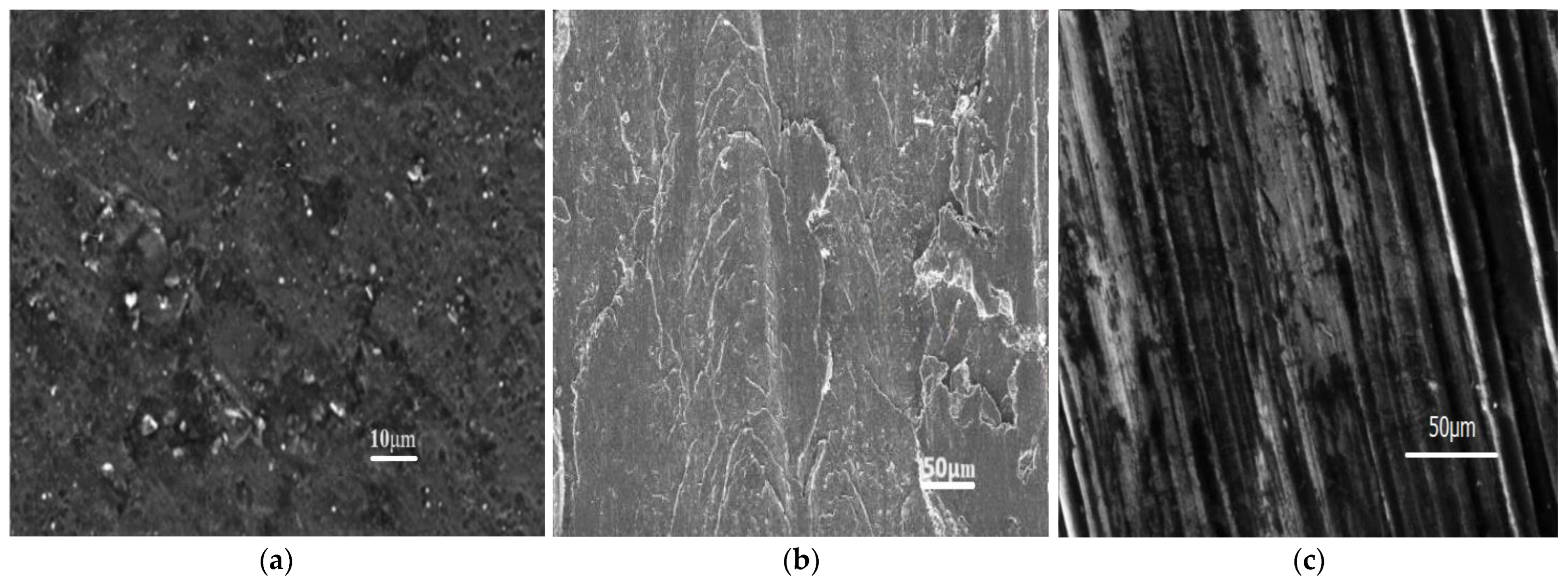 Coatings 13 01653 g002