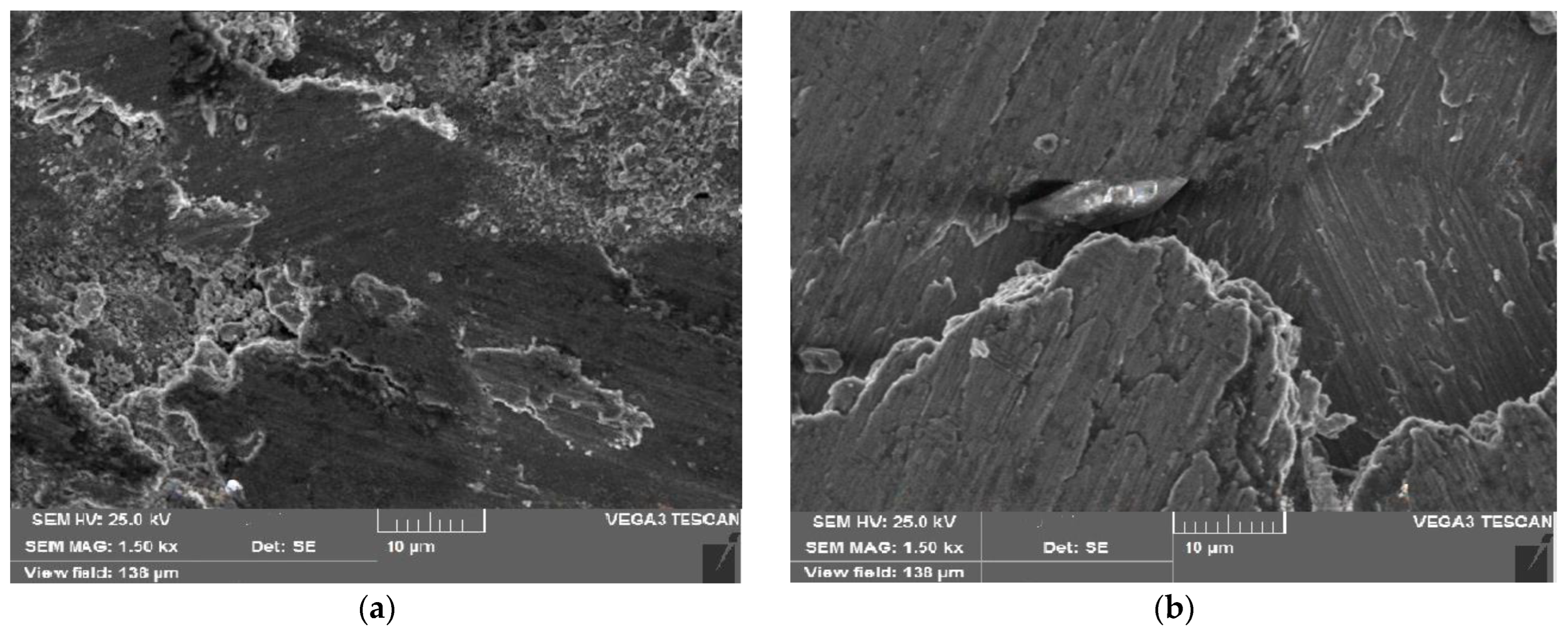 Coatings 13 01653 g008