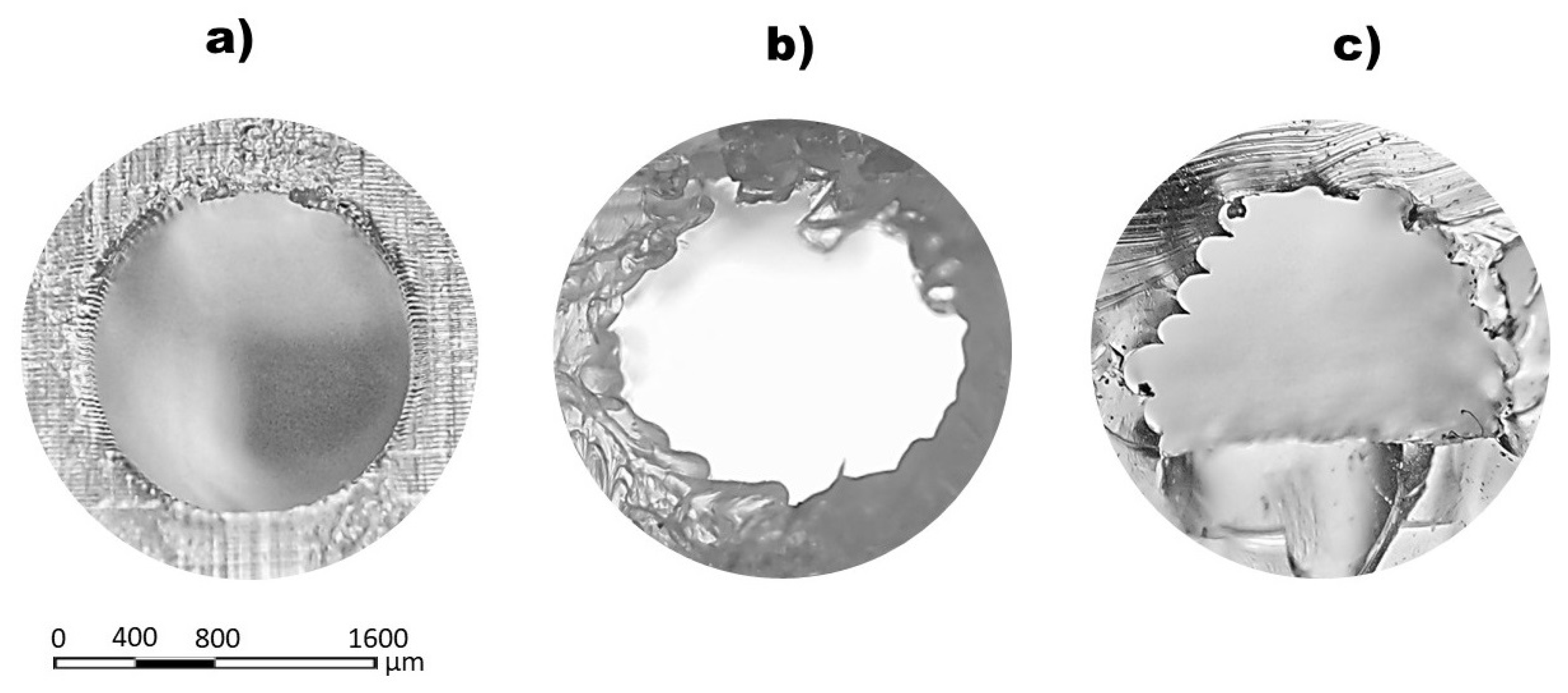 Coatings 13 01676 g010