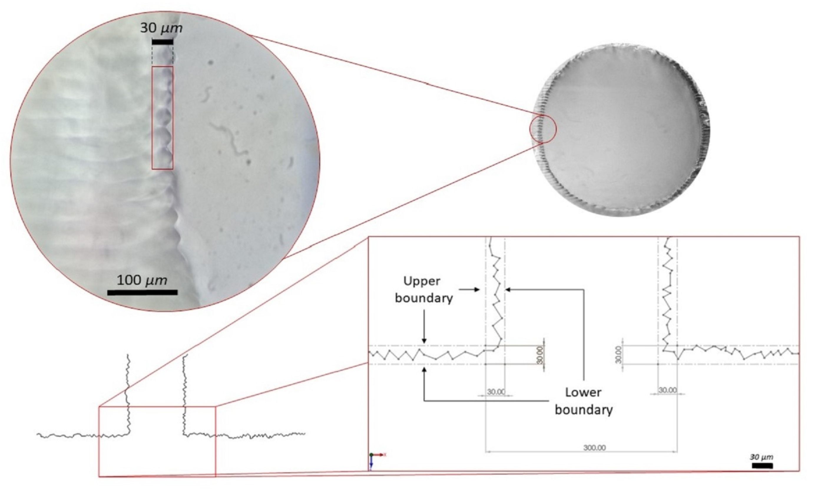 Coatings 13 01676 g014