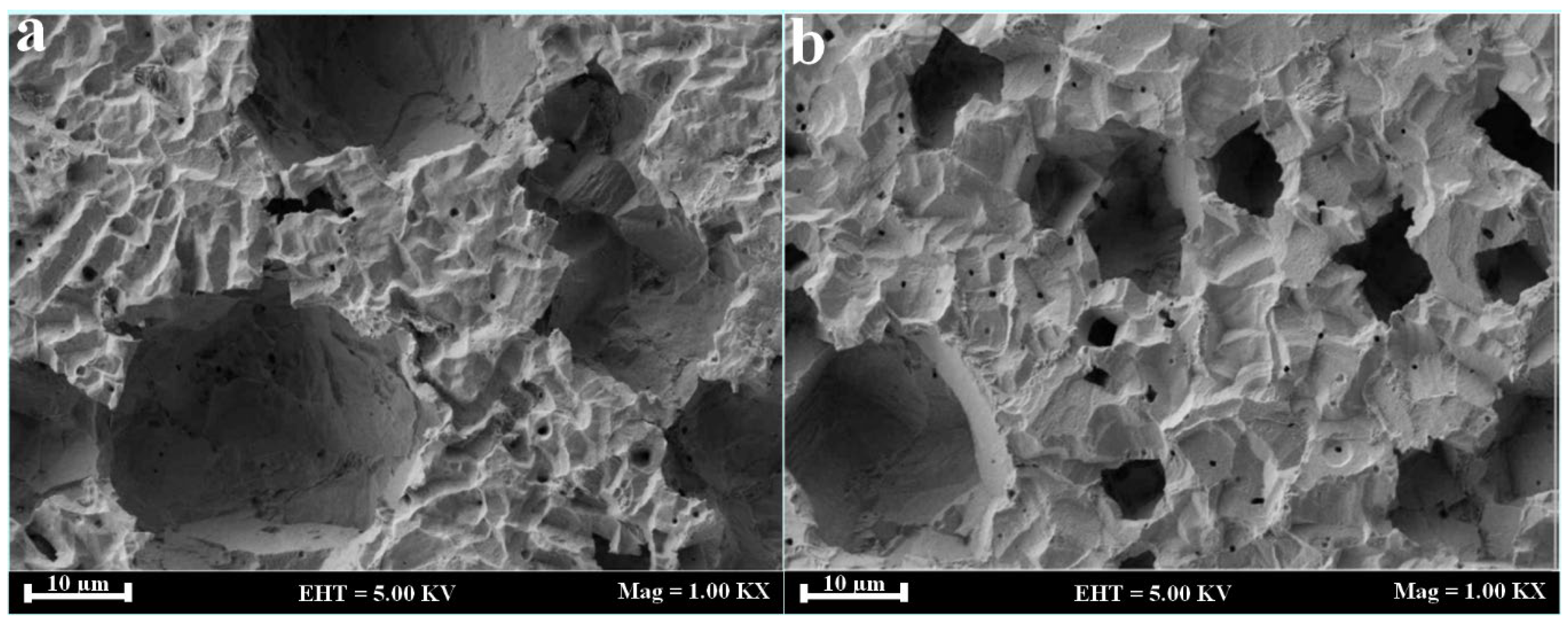 Coatings 13 01683 g002 Coatings 13 01683 g002