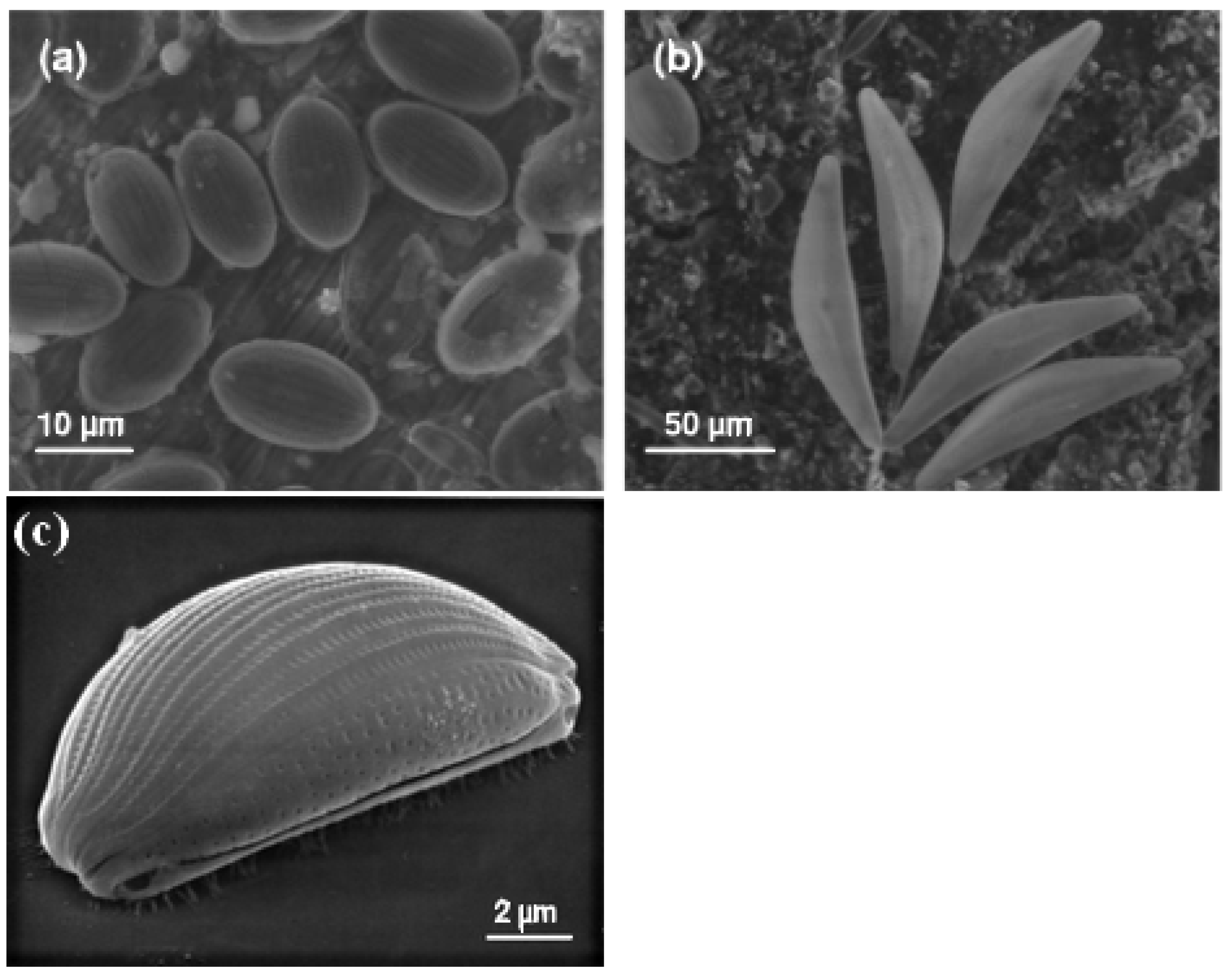 Coatings 13 01683 g003 Coatings 13 01683 g003