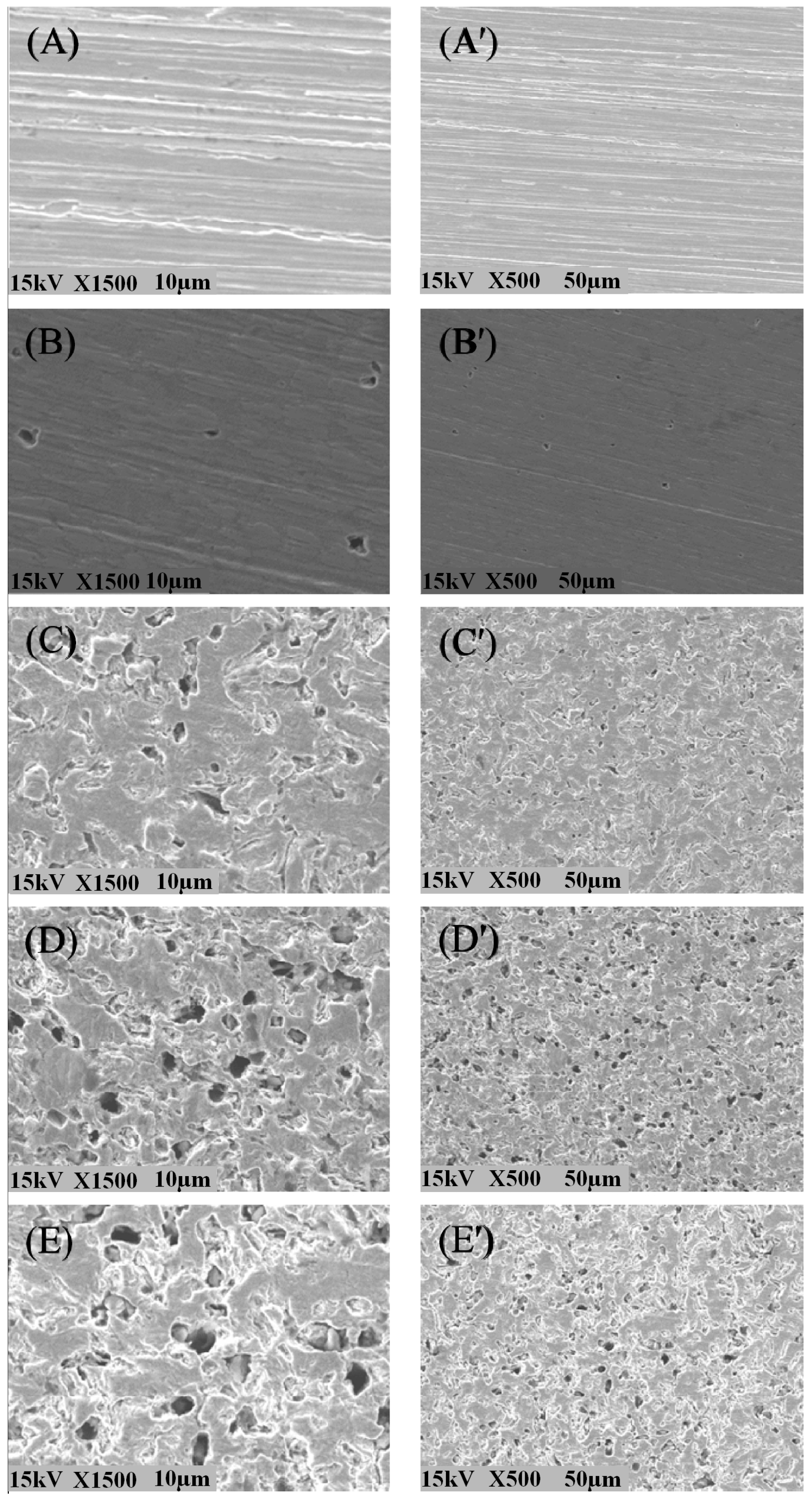 Coatings 13 01683 g005 Coatings 13 01683 g005