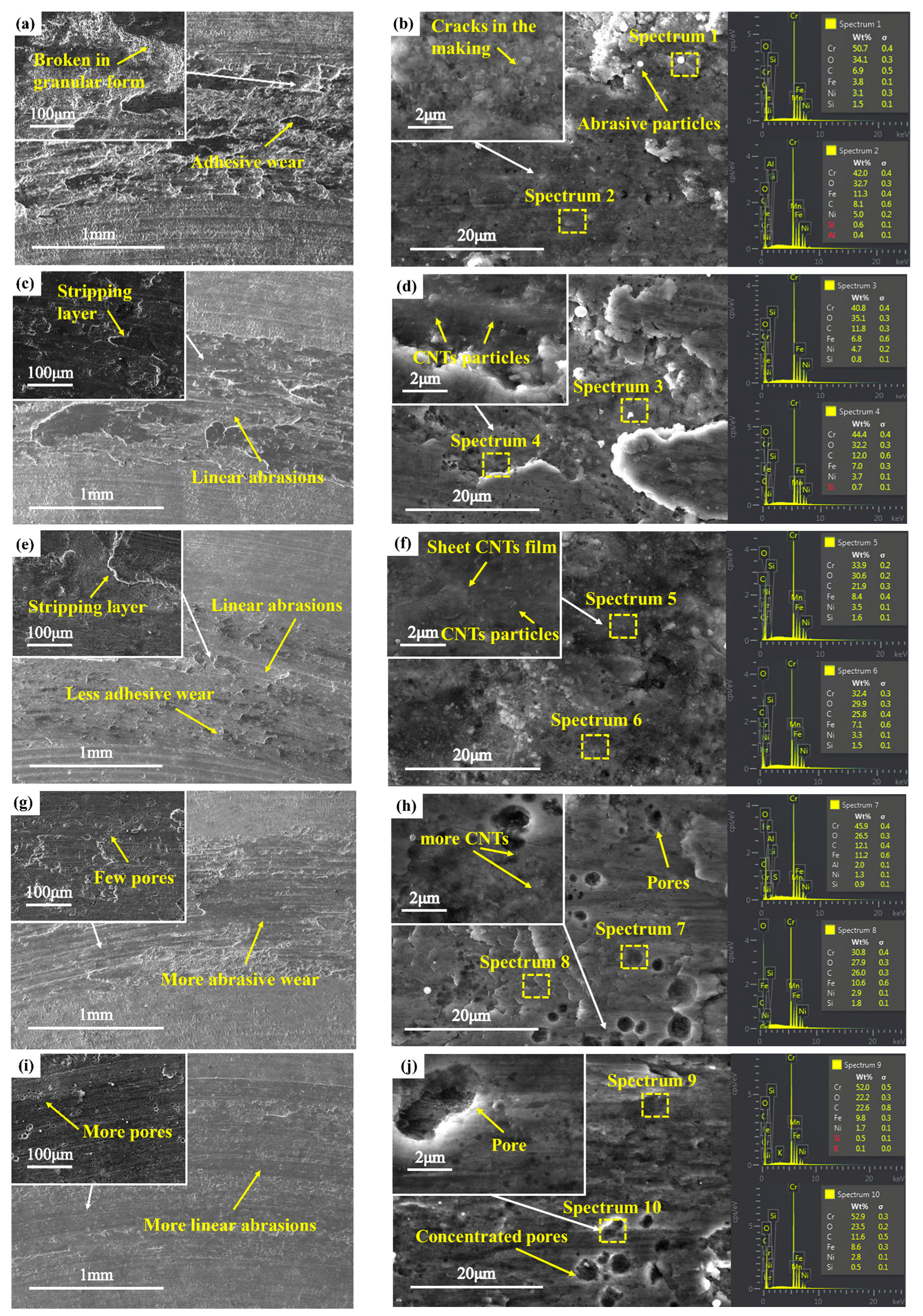 Coatings 13 01692 g006