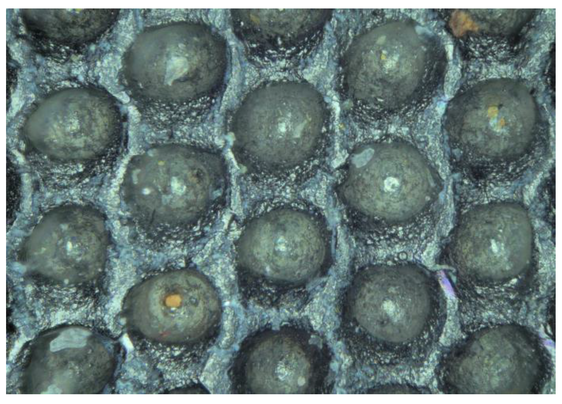 Coatings 13 01699 g003