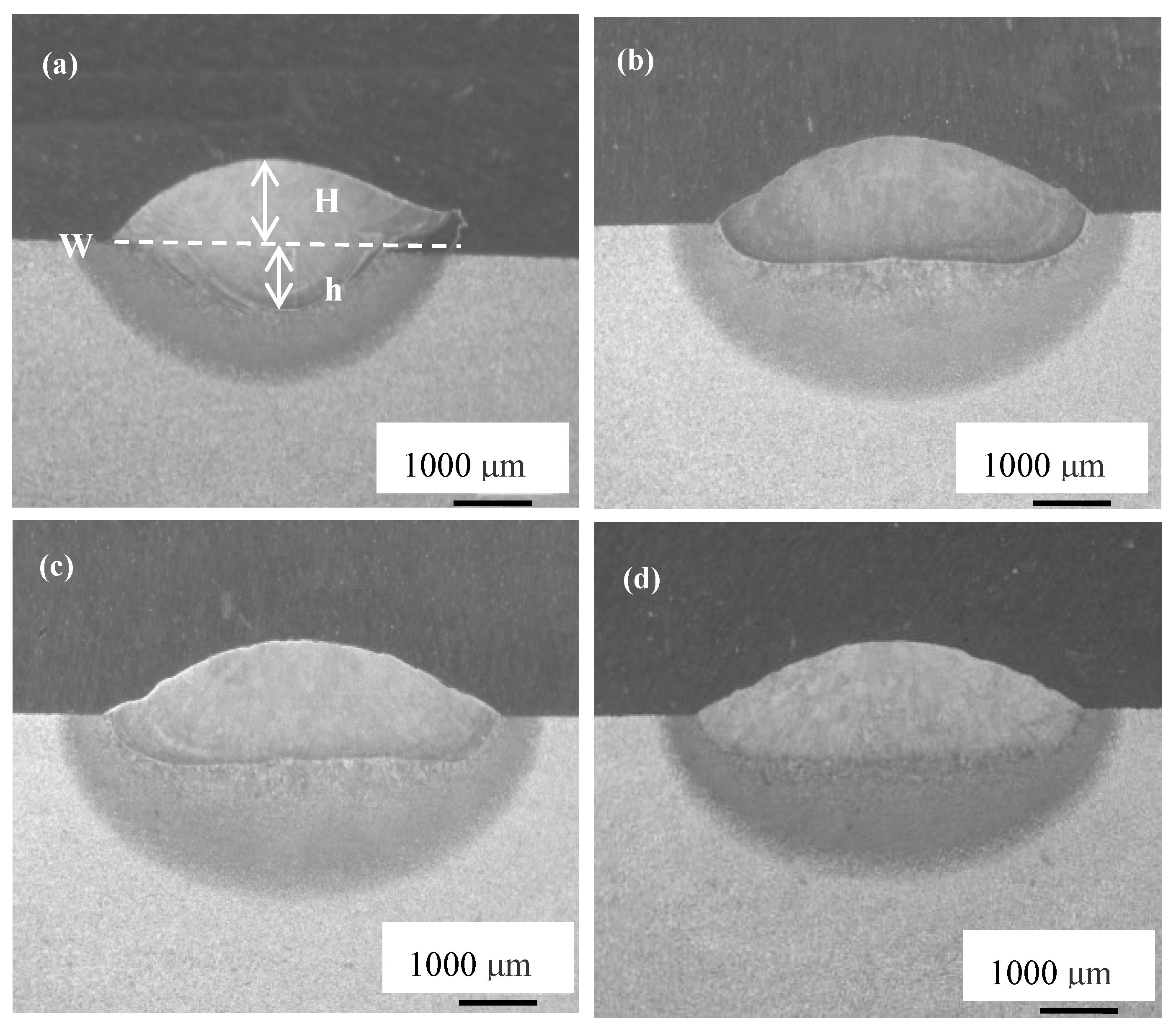 Coatings 13 01702 g004