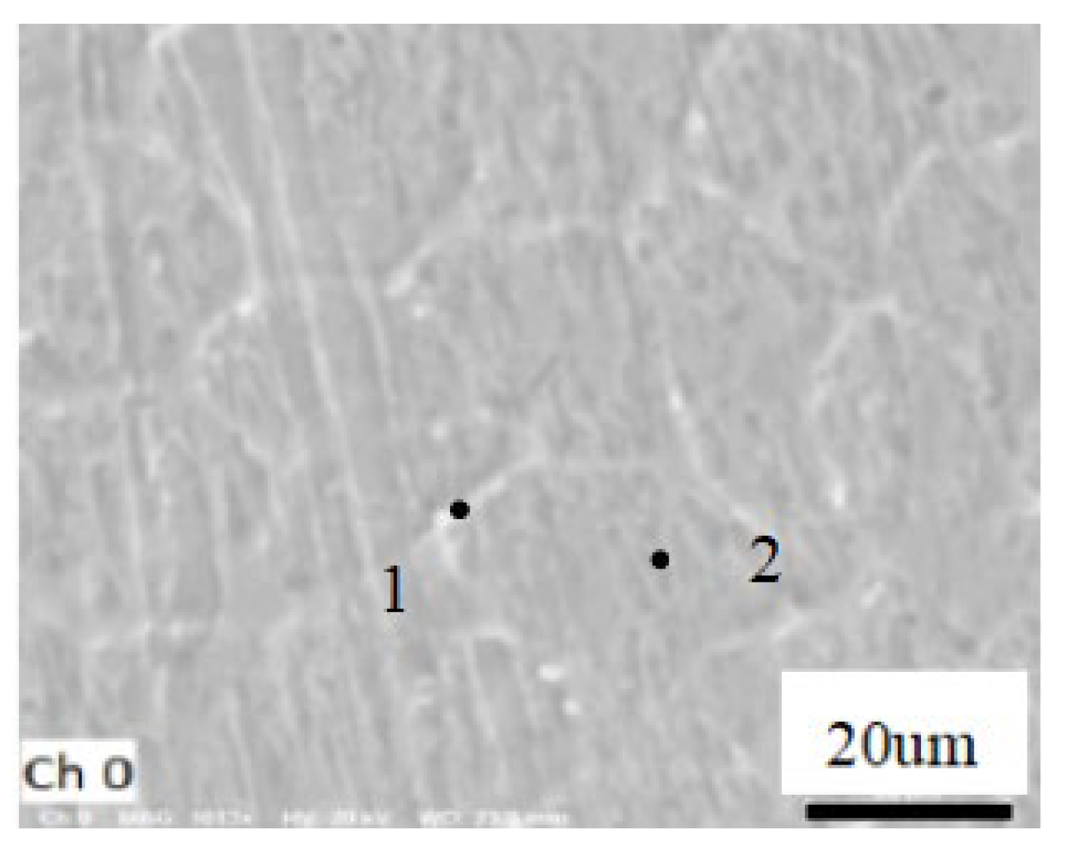 Study of the microstructure and mechanical properties of white