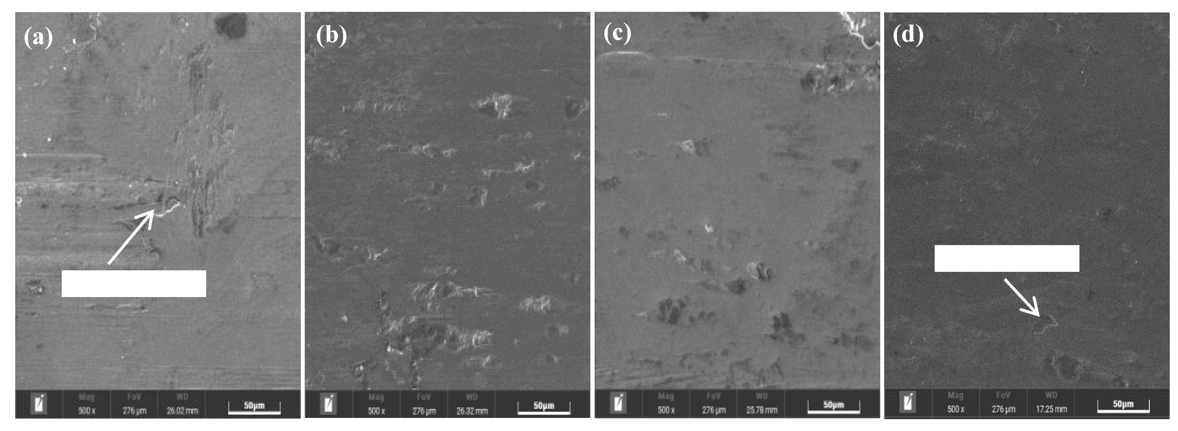 Coatings 13 01702 g009
