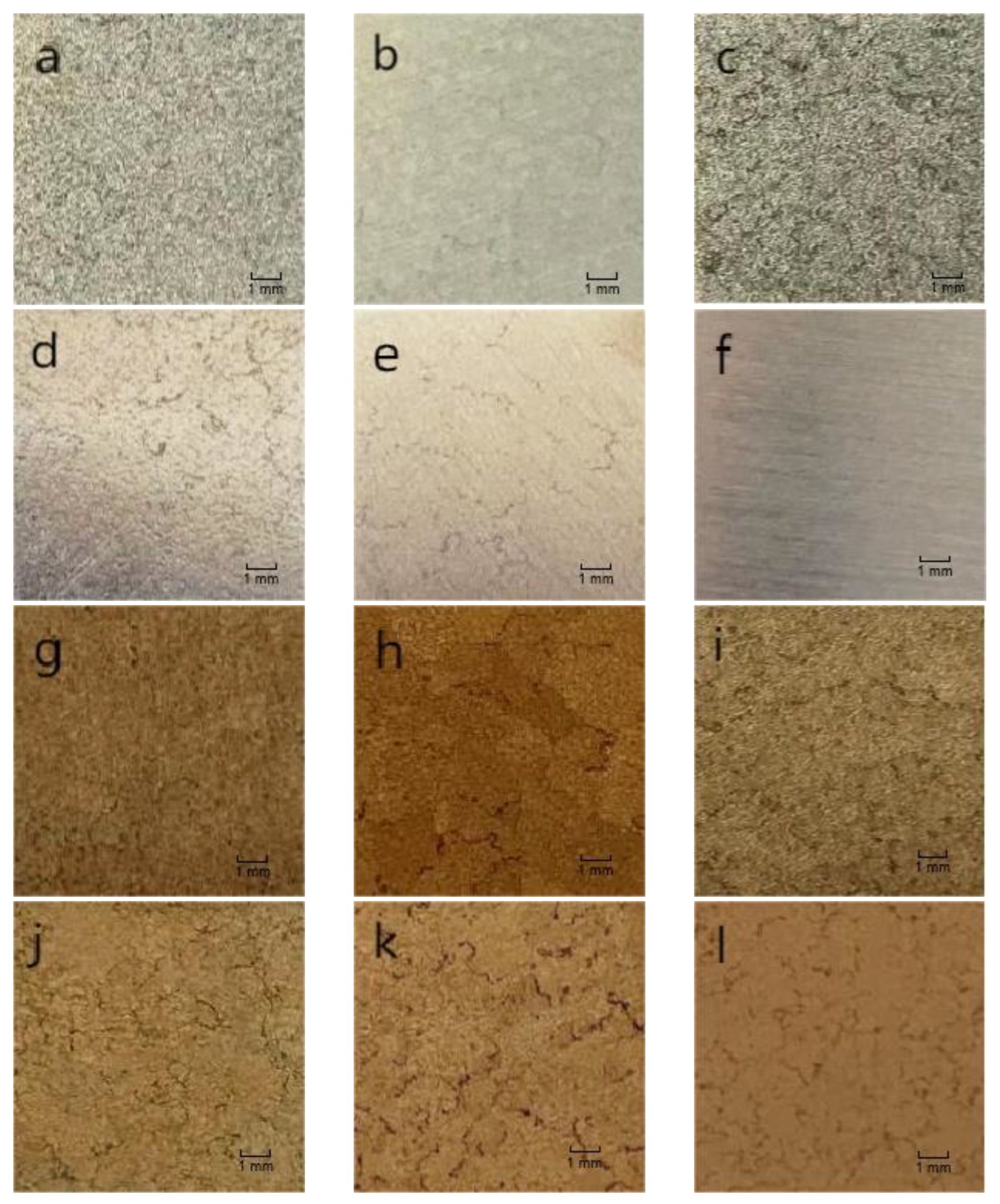 Coatings 13 01706 g001