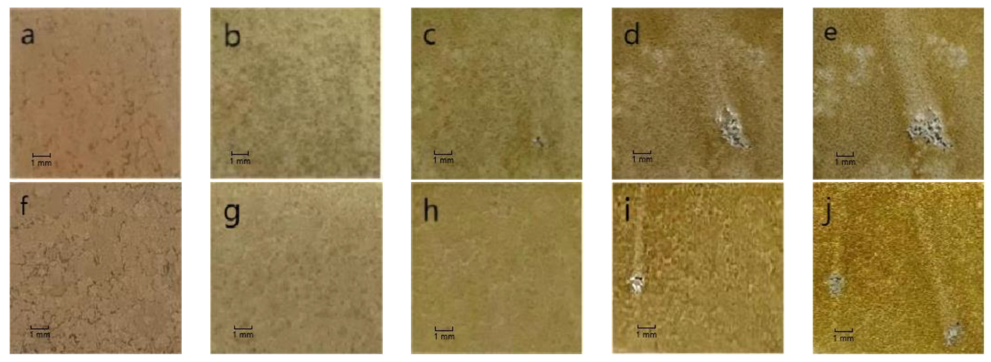 Coatings 13 01706 g008