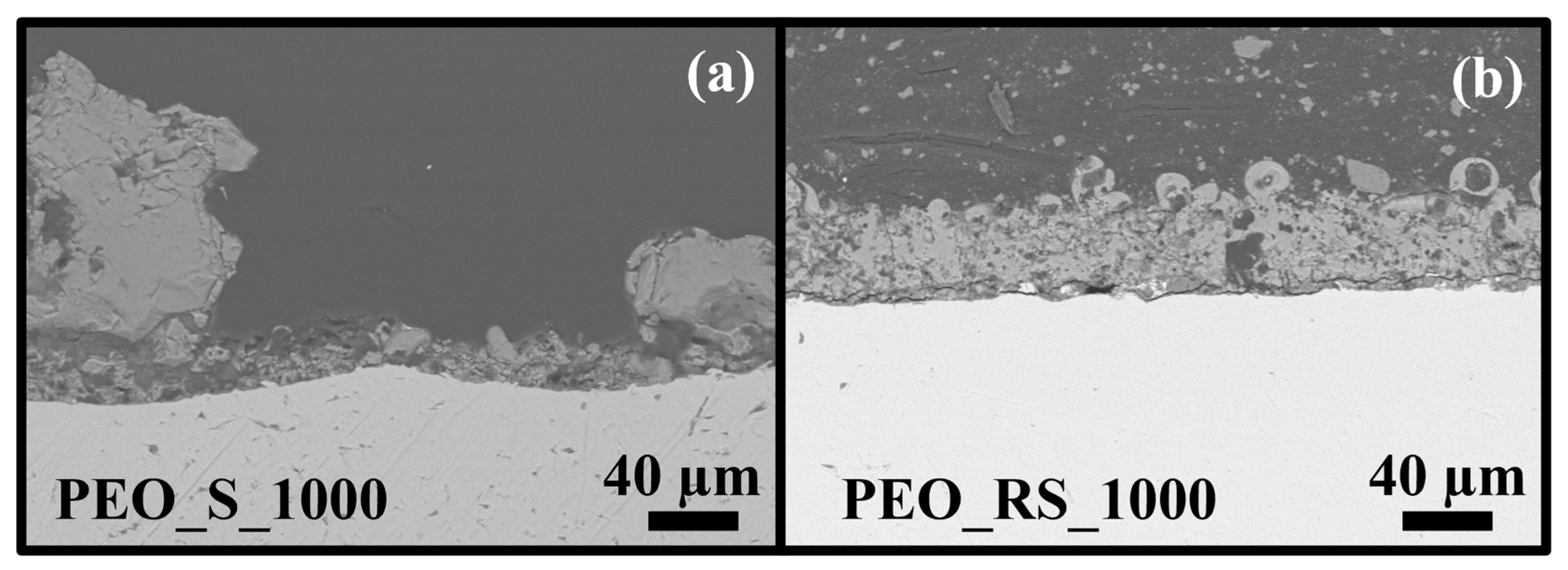 Coatings 13 01718 g004