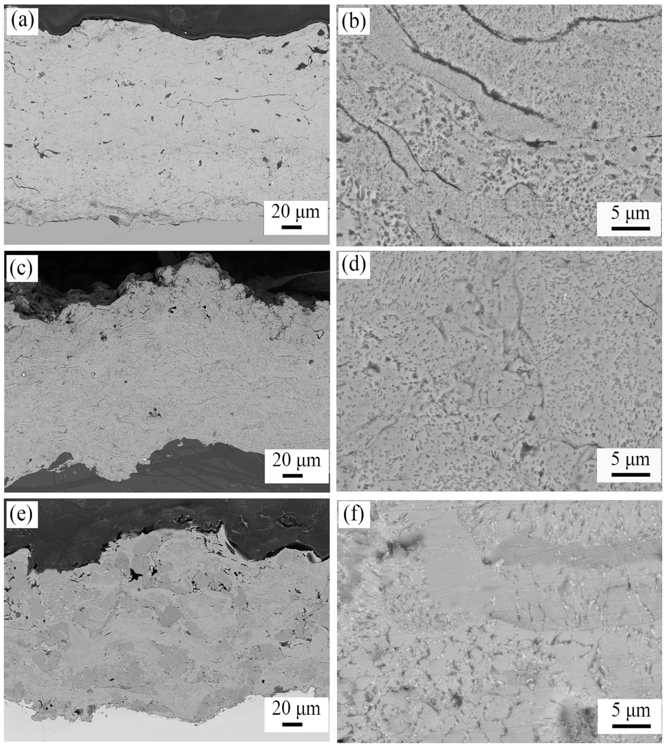 Coatings | Free Full-Text | Effect of Al Content on the Long-Term