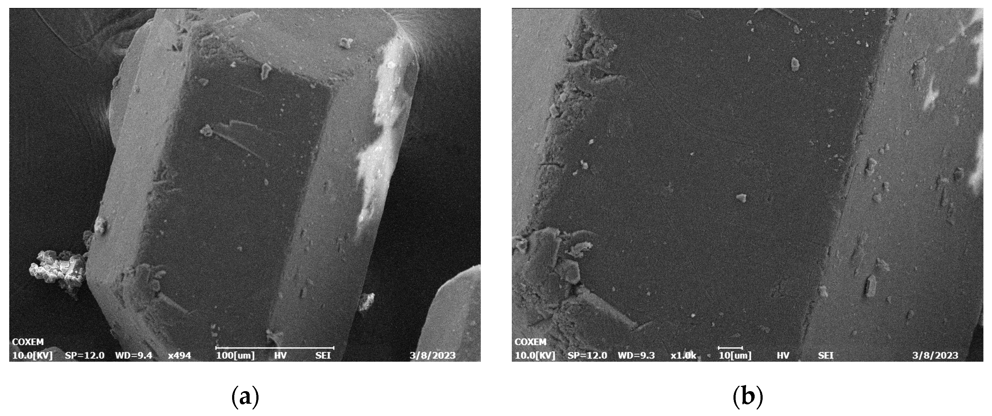 Coatings 13 01721 g005 Coatings 13 01721 g005