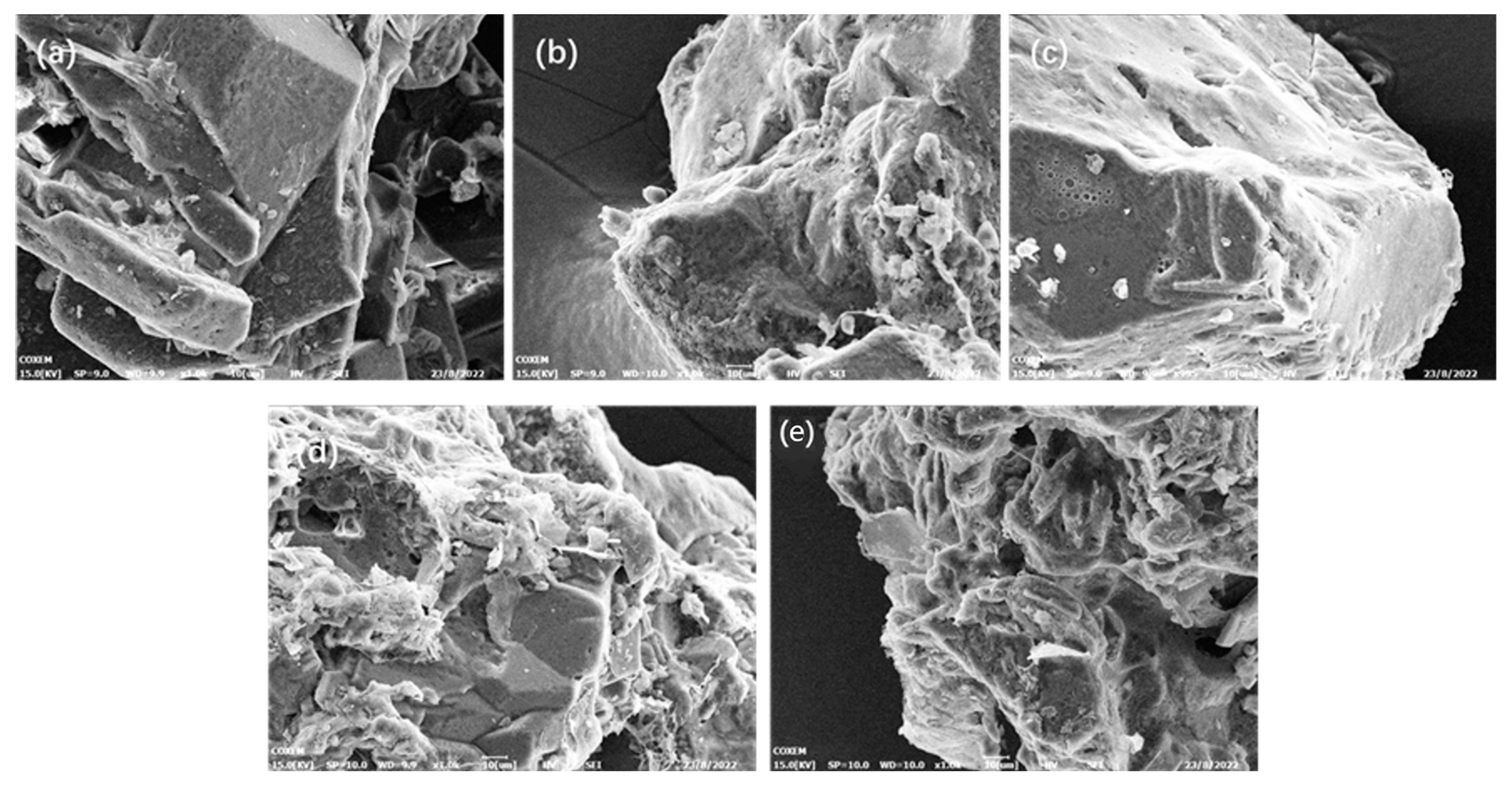 Coatings 13 01721 g006 Coatings 13 01721 g006