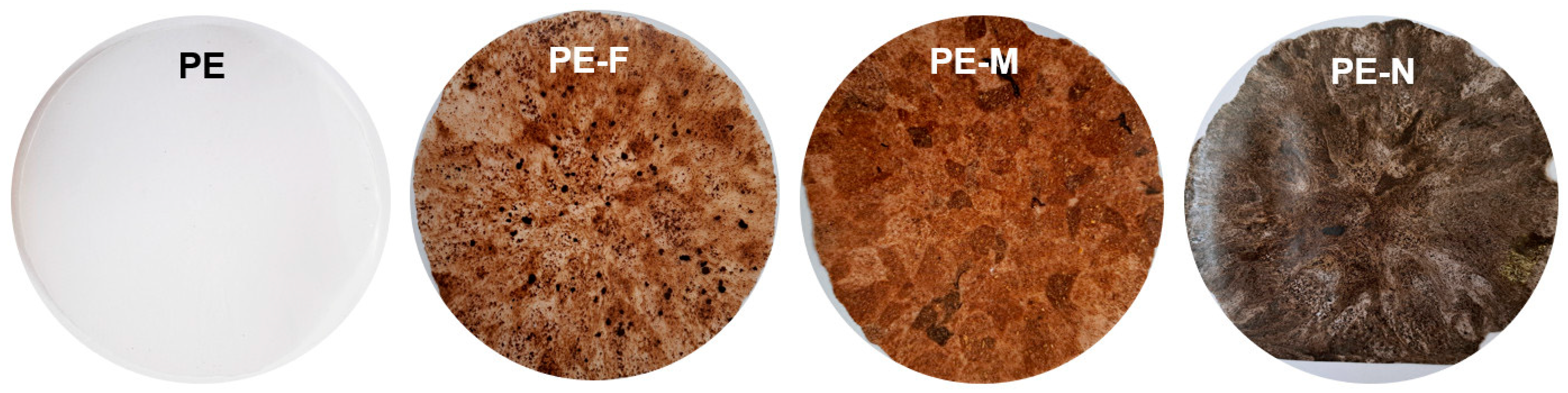 Coatings 13 01722 g002