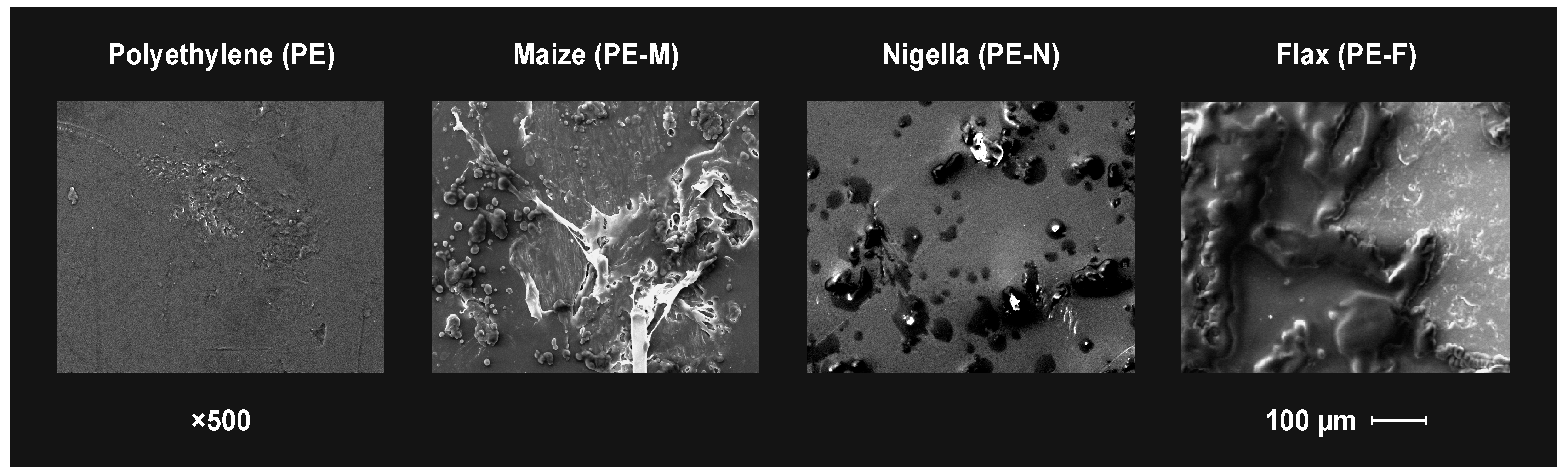 Coatings 13 01722 g006