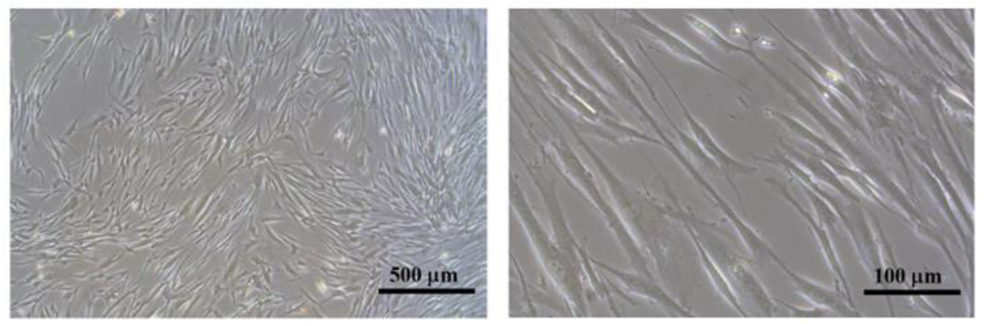 Coatings 13 01746 g001