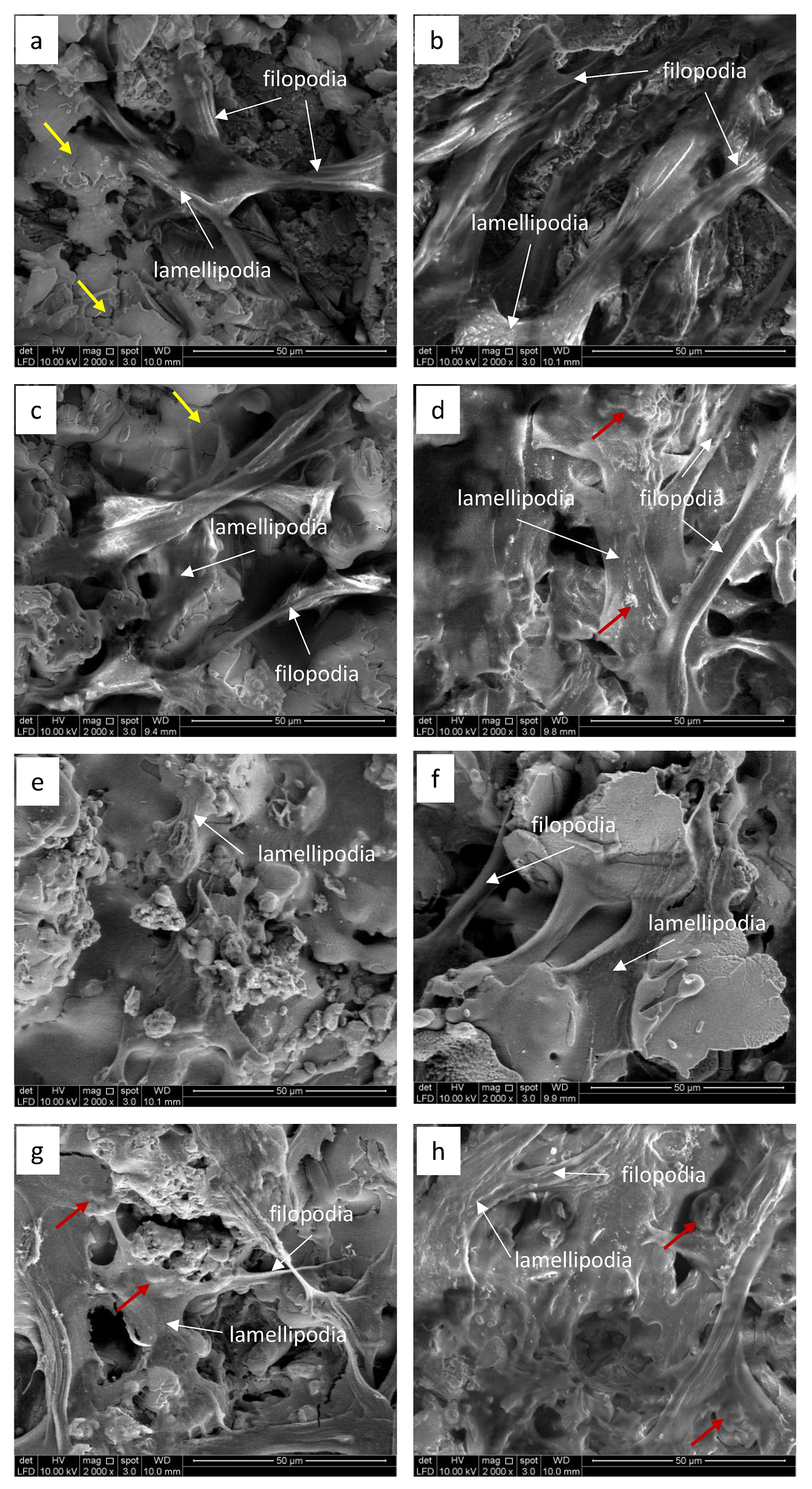 Coatings 13 01746 g004