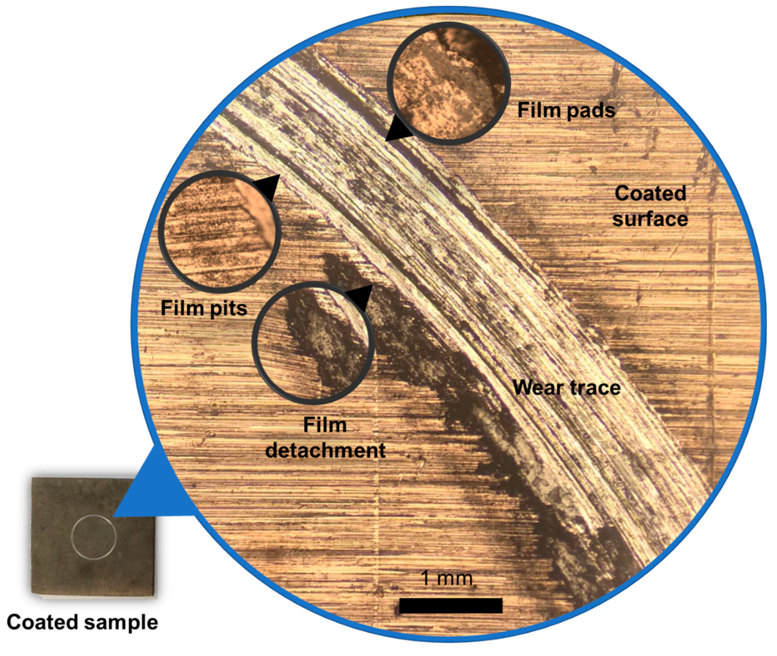 Coatings 13 01753 g020