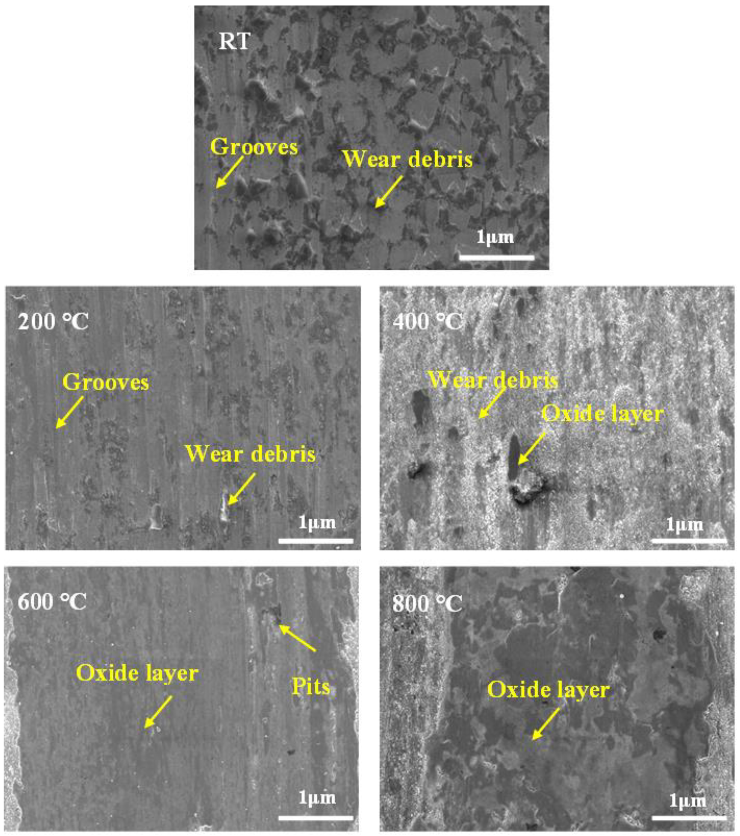 Coatings 13 01760 g008