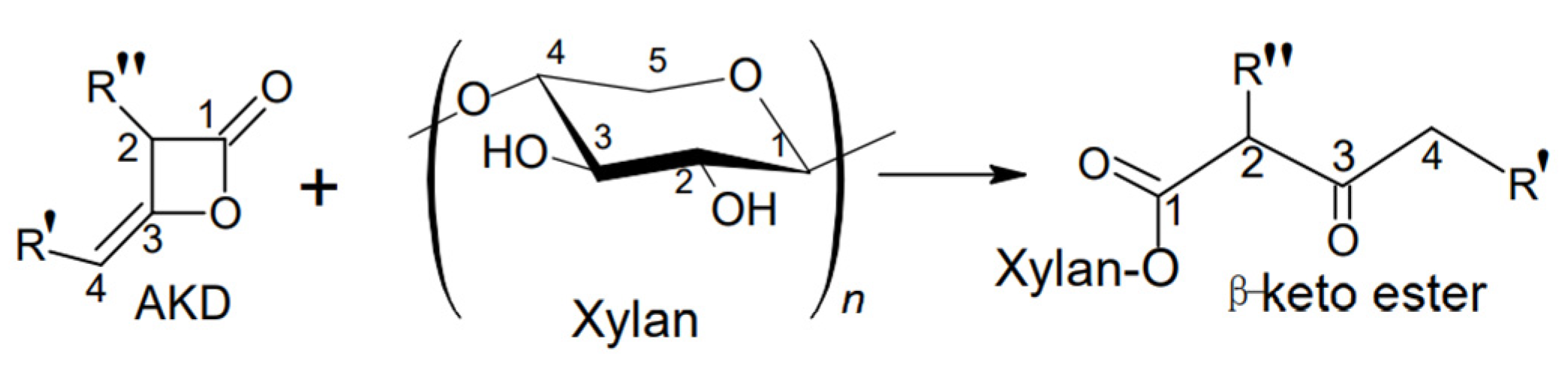 Coatings 13 01761 g001
