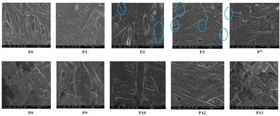 https://www.mdpi.com/coatings/coatings-13-01761/article_deploy/html/images/coatings-13-01761-g005-550.jpg