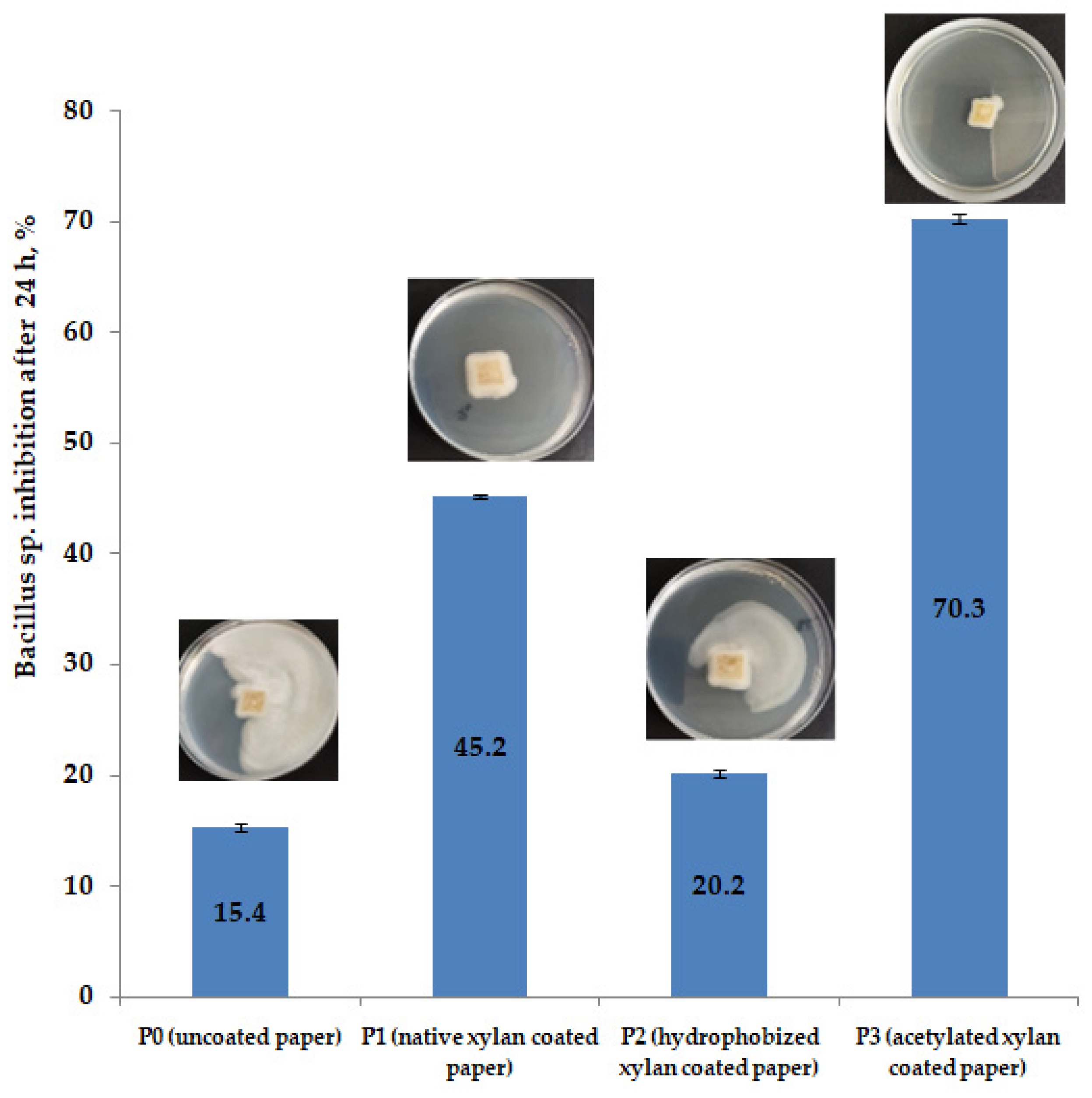 Coatings 13 01761 g011
