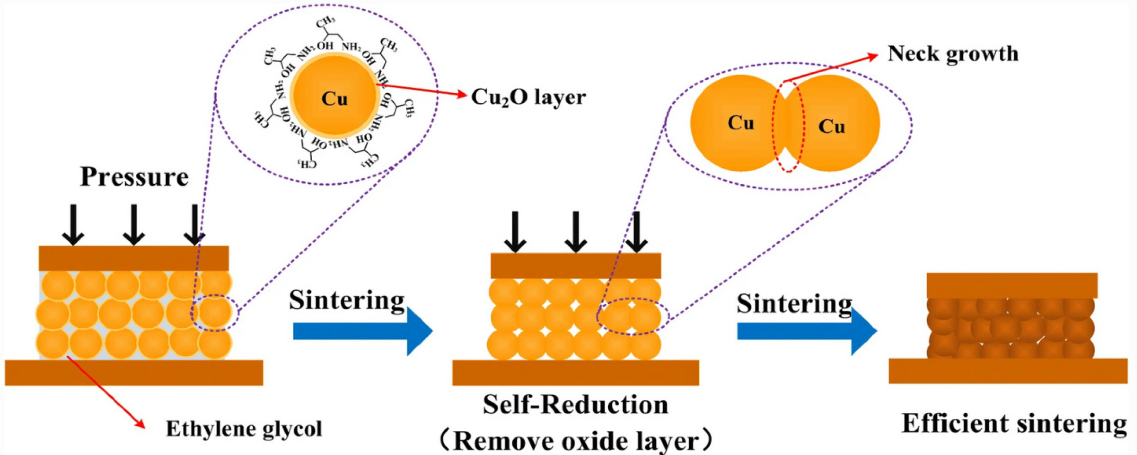 Coatings 13 01769 g003