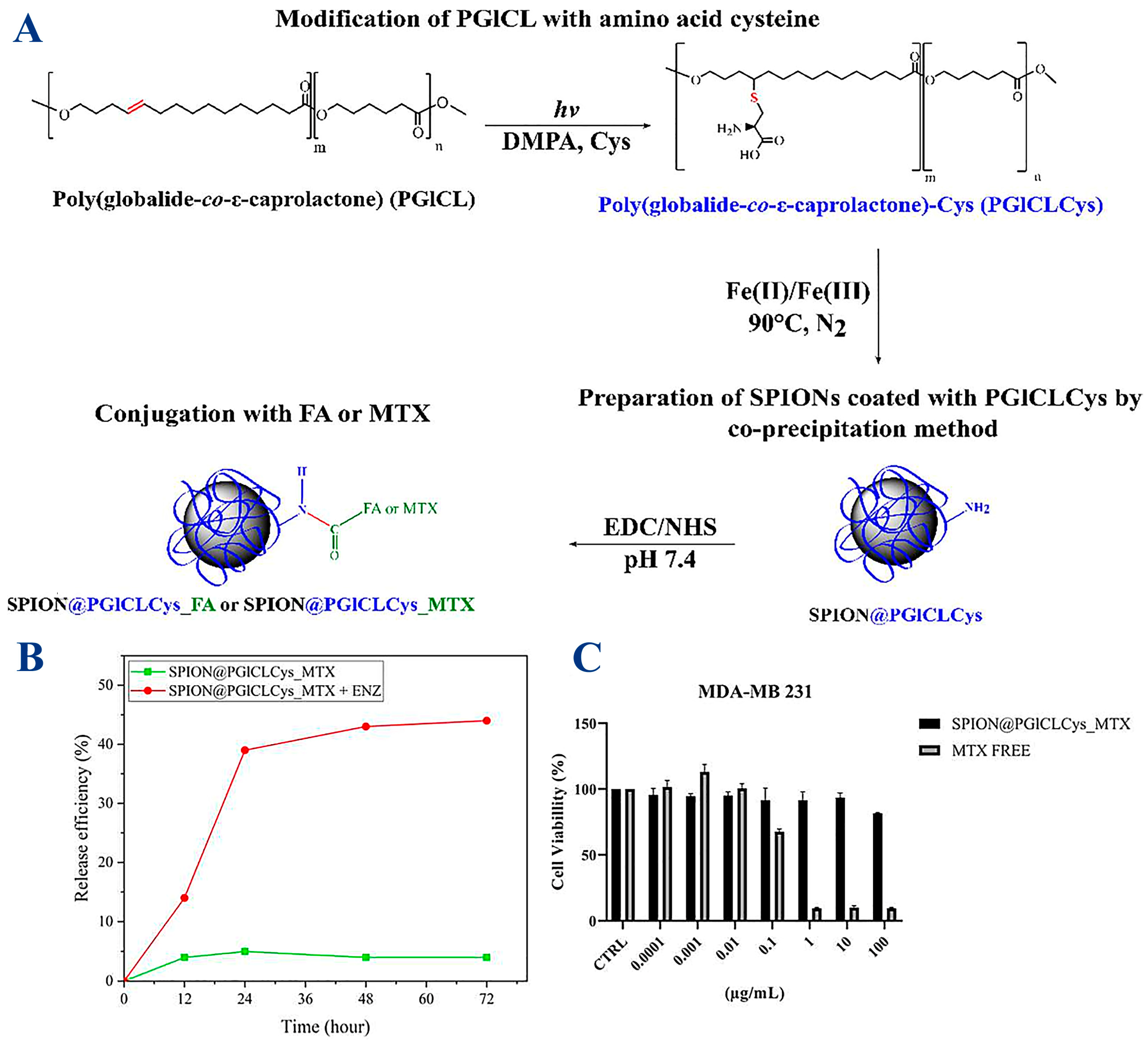 Coatings 13 01772 g006