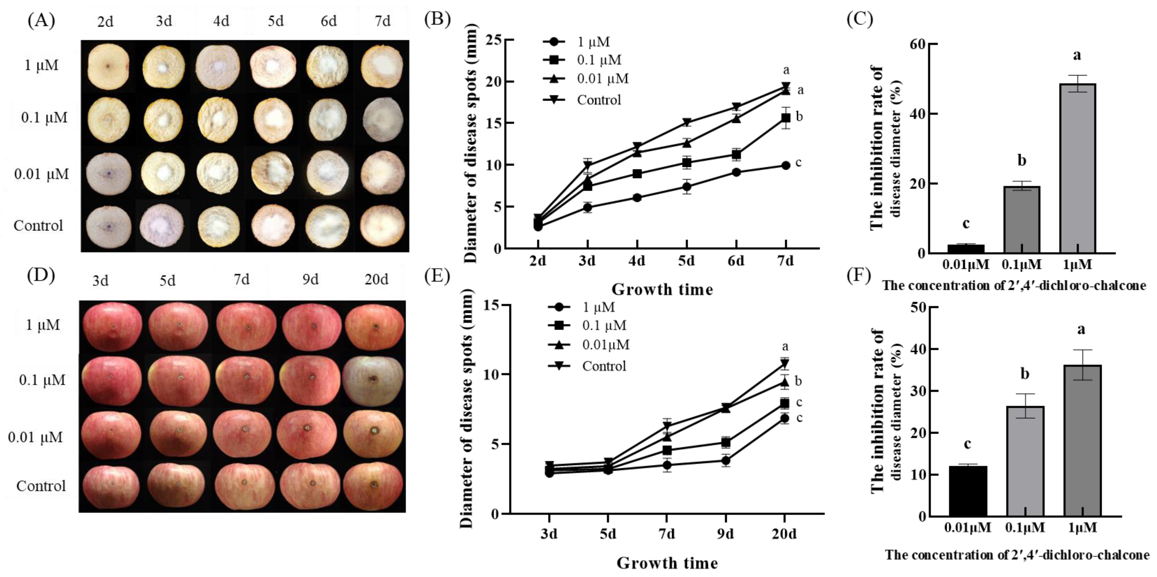 Coatings 13 01789 g009